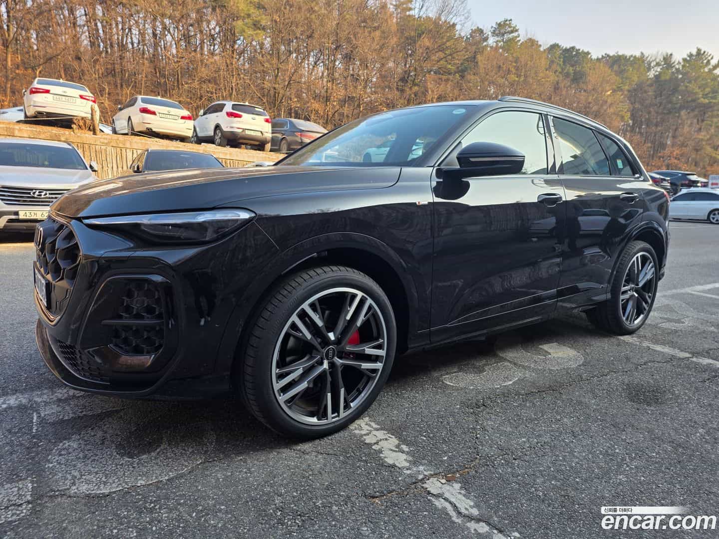 Q5 Audi 2025.11-OUTER-005