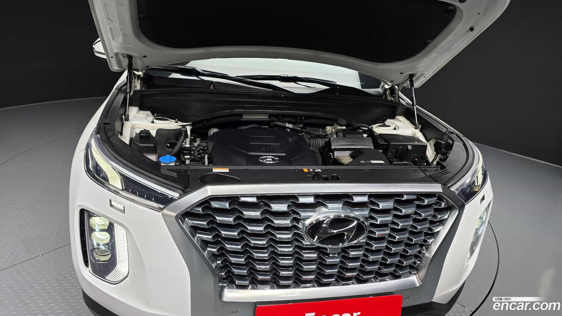 Palisade Hyundai 2021.1-OUTER-006