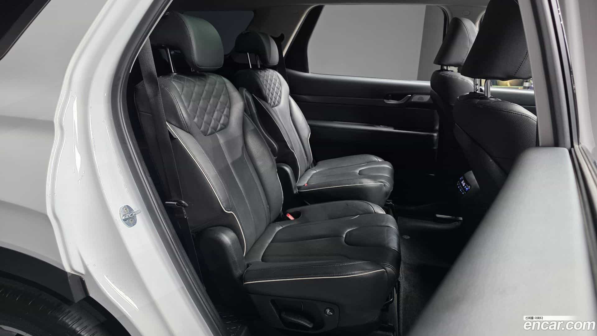 Palisade Hyundai 2021.1-OPTION-016