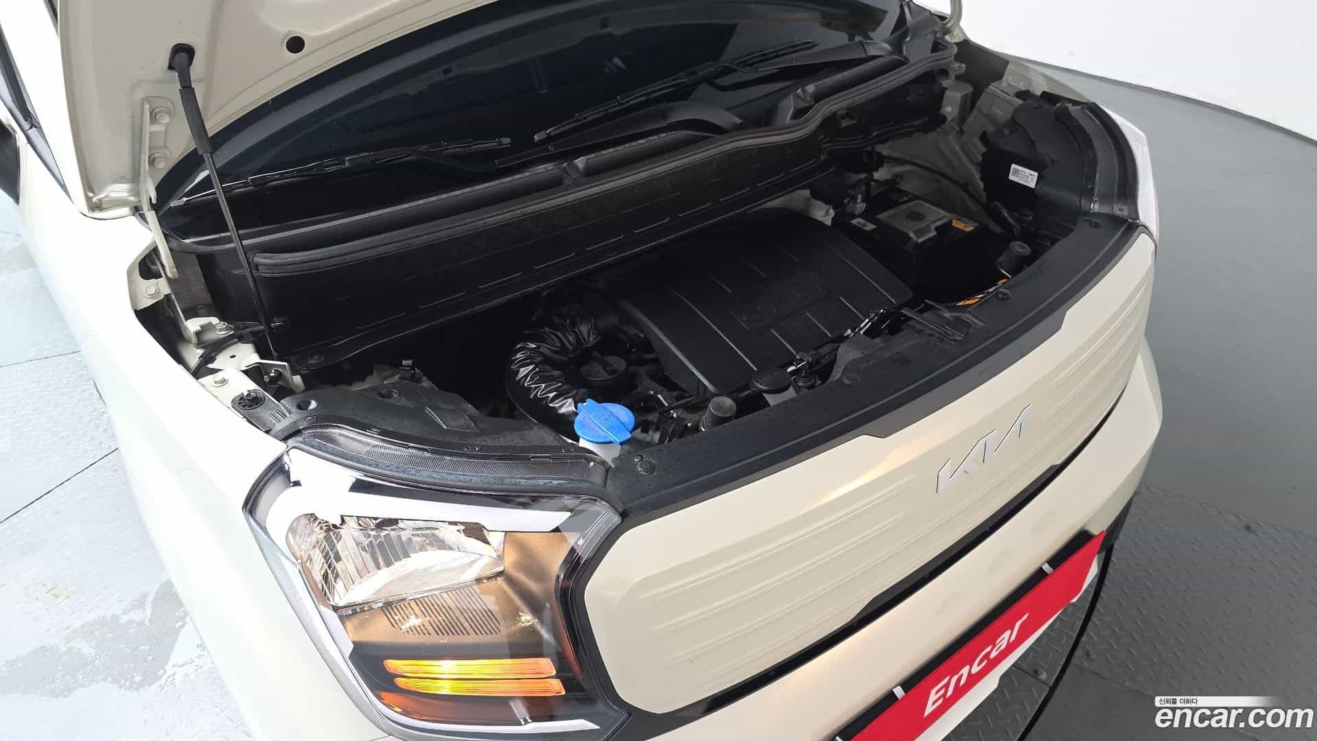 RAY Kia 2026.2-OUTER-006