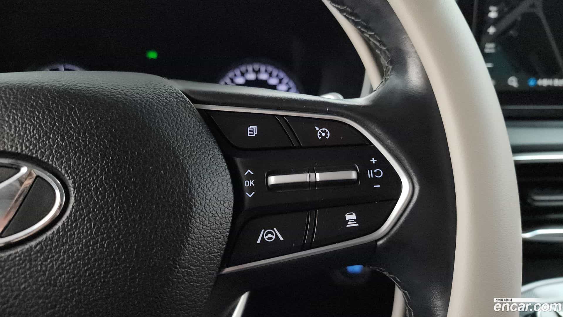 Santafe Hyundai 2020.10-OPTION-020