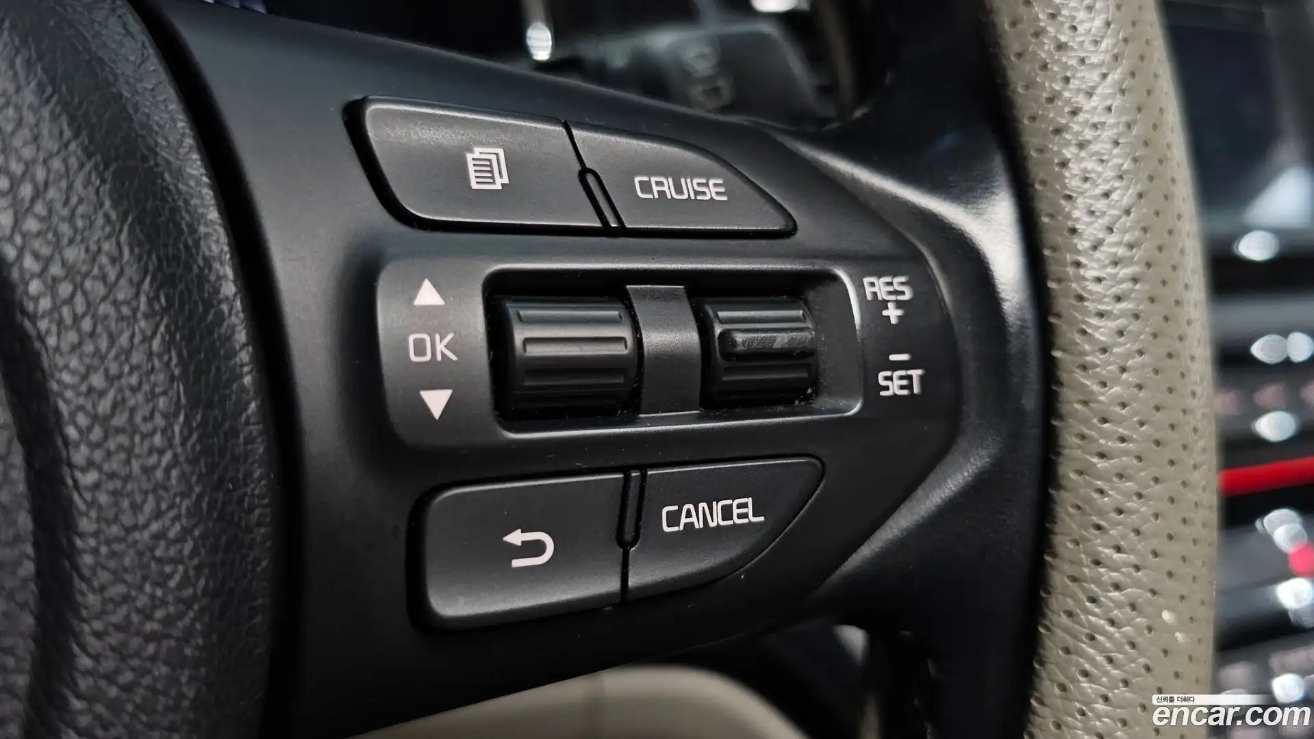 Canival Kia 2018.3-OPTION-023