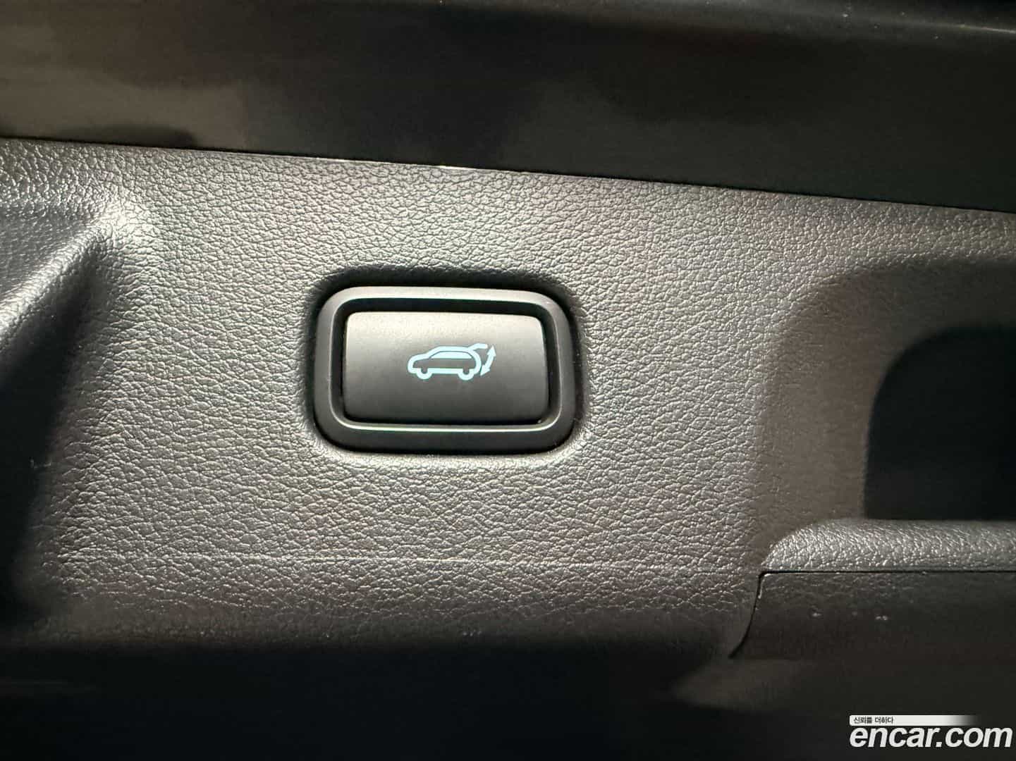 Palisade Hyundai 2023.10-OPTION-022