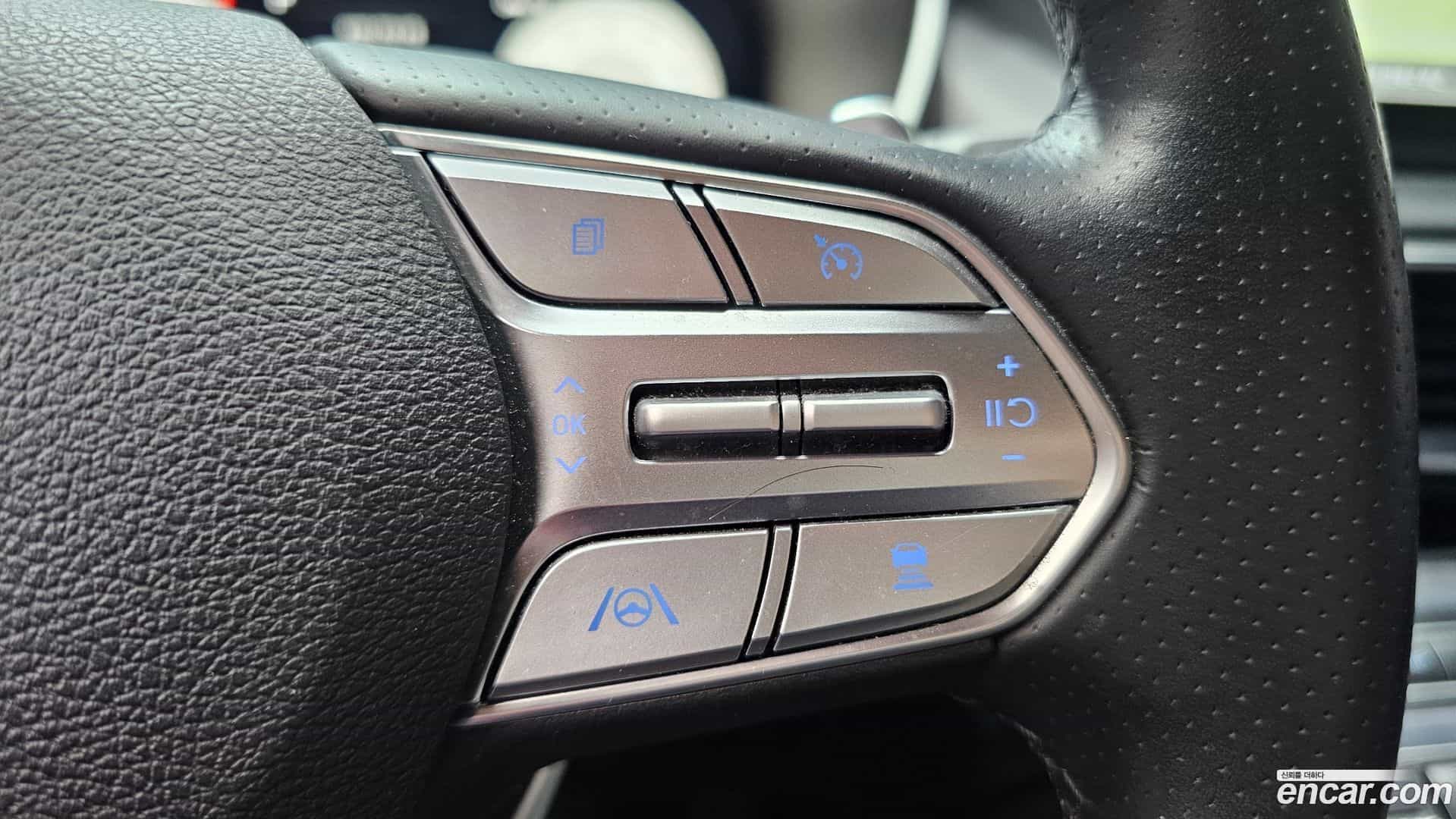 Santafe Hyundai 2020.11-OPTION-024