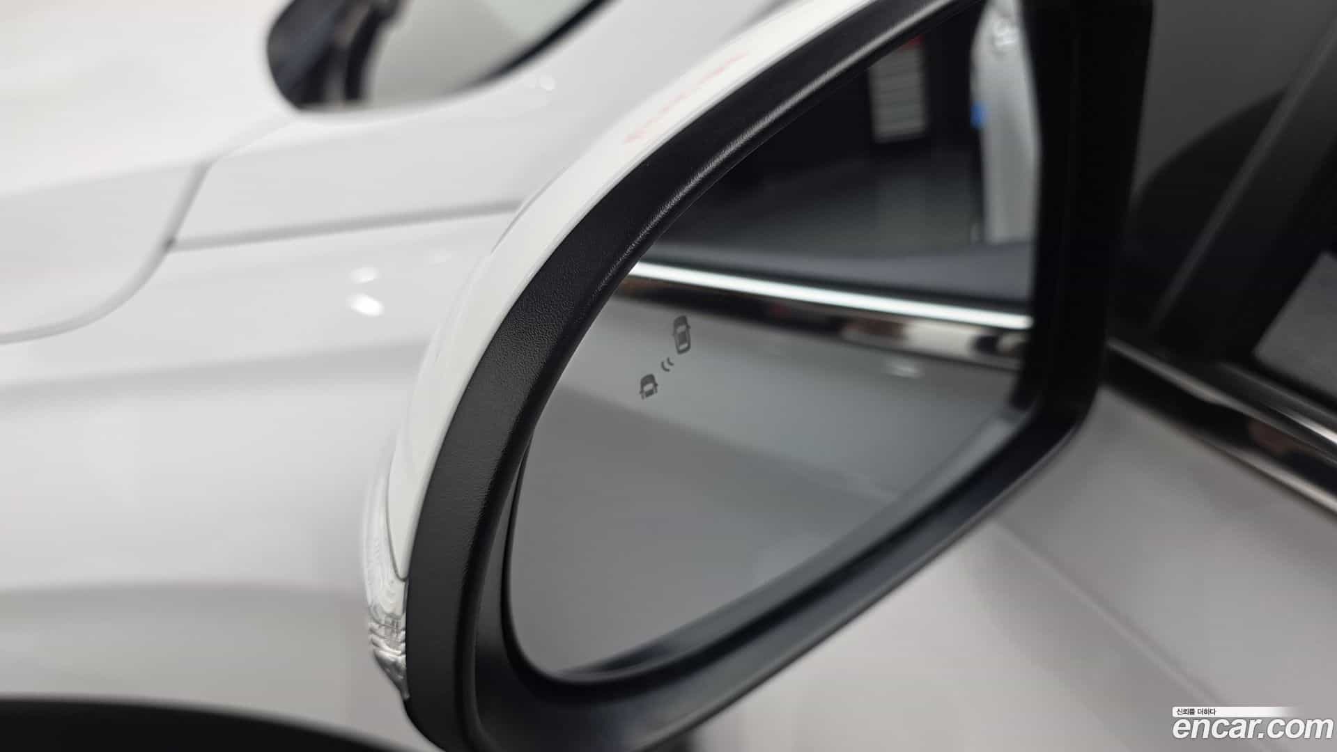 Santafe Hyundai 2019.4-OPTION-043