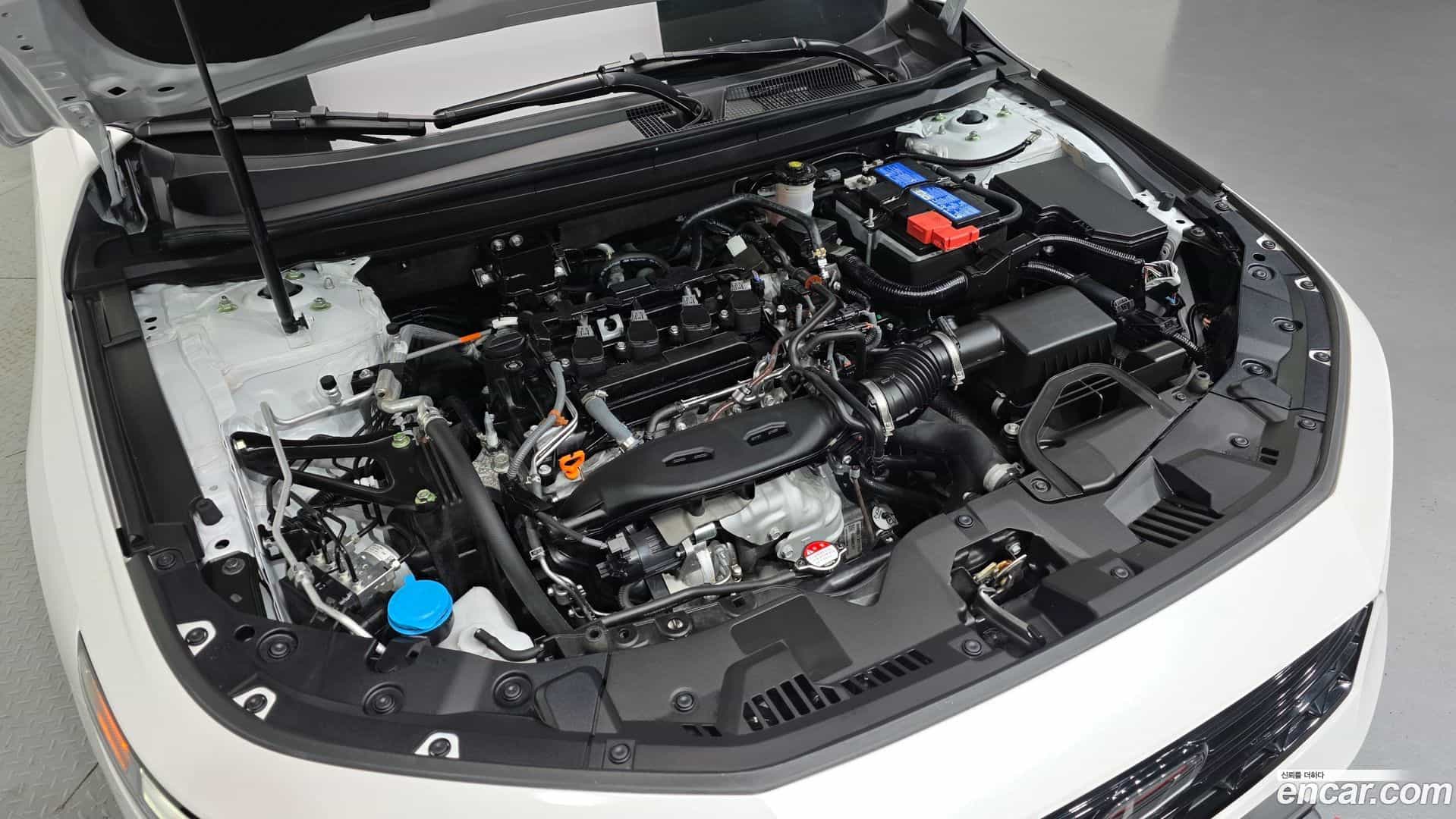 Accord Honda 2024.4-OUTER-006
