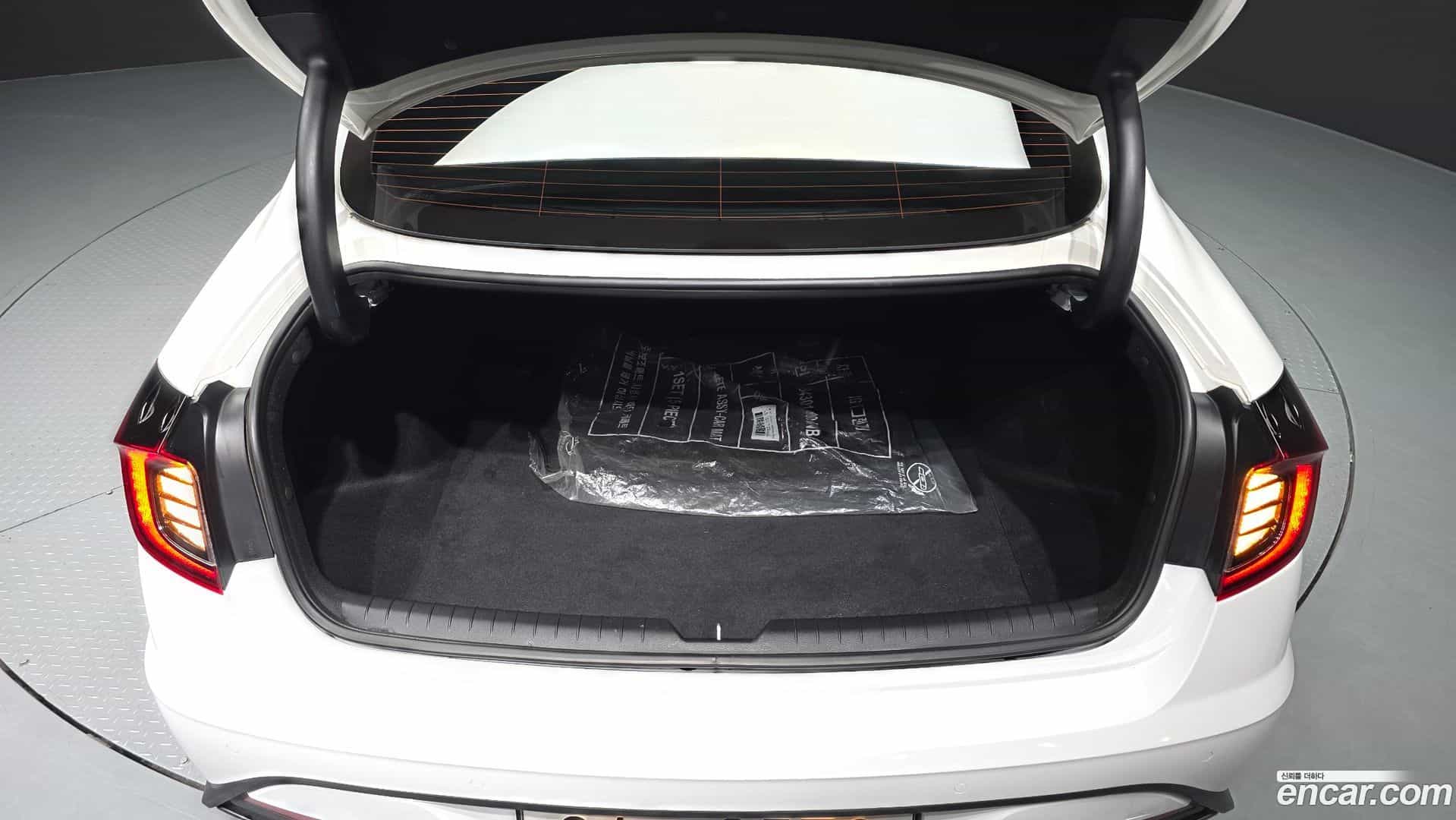 Sonata Hyundai 2019.4-OPTION-024