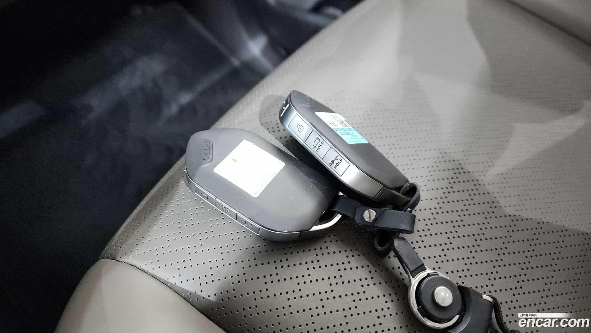Canival Kia 2023.10-OPTION-019