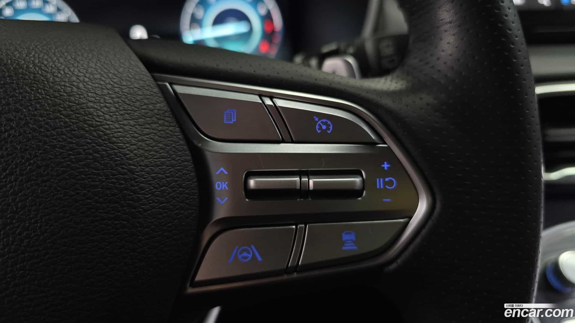 Santafe Hyundai 2020.11-OPTION-020