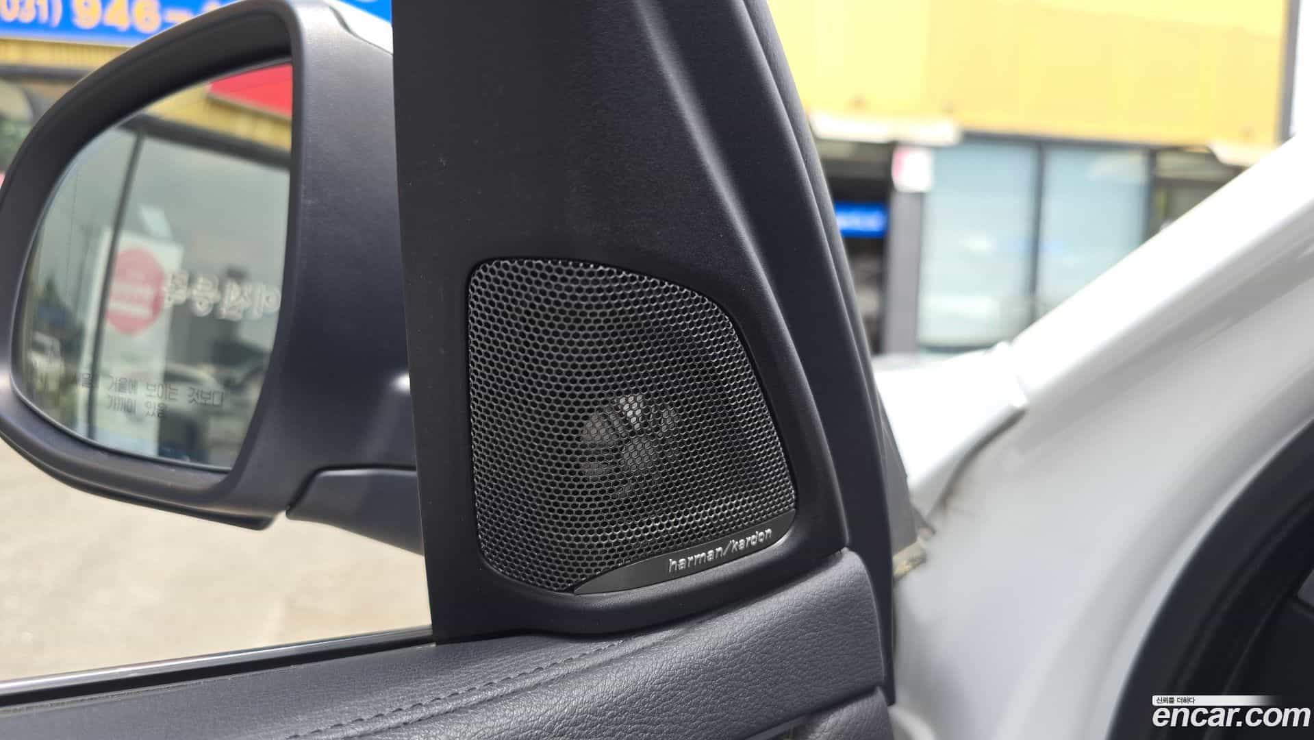 X6 BMW 2018.1-OPTION-042