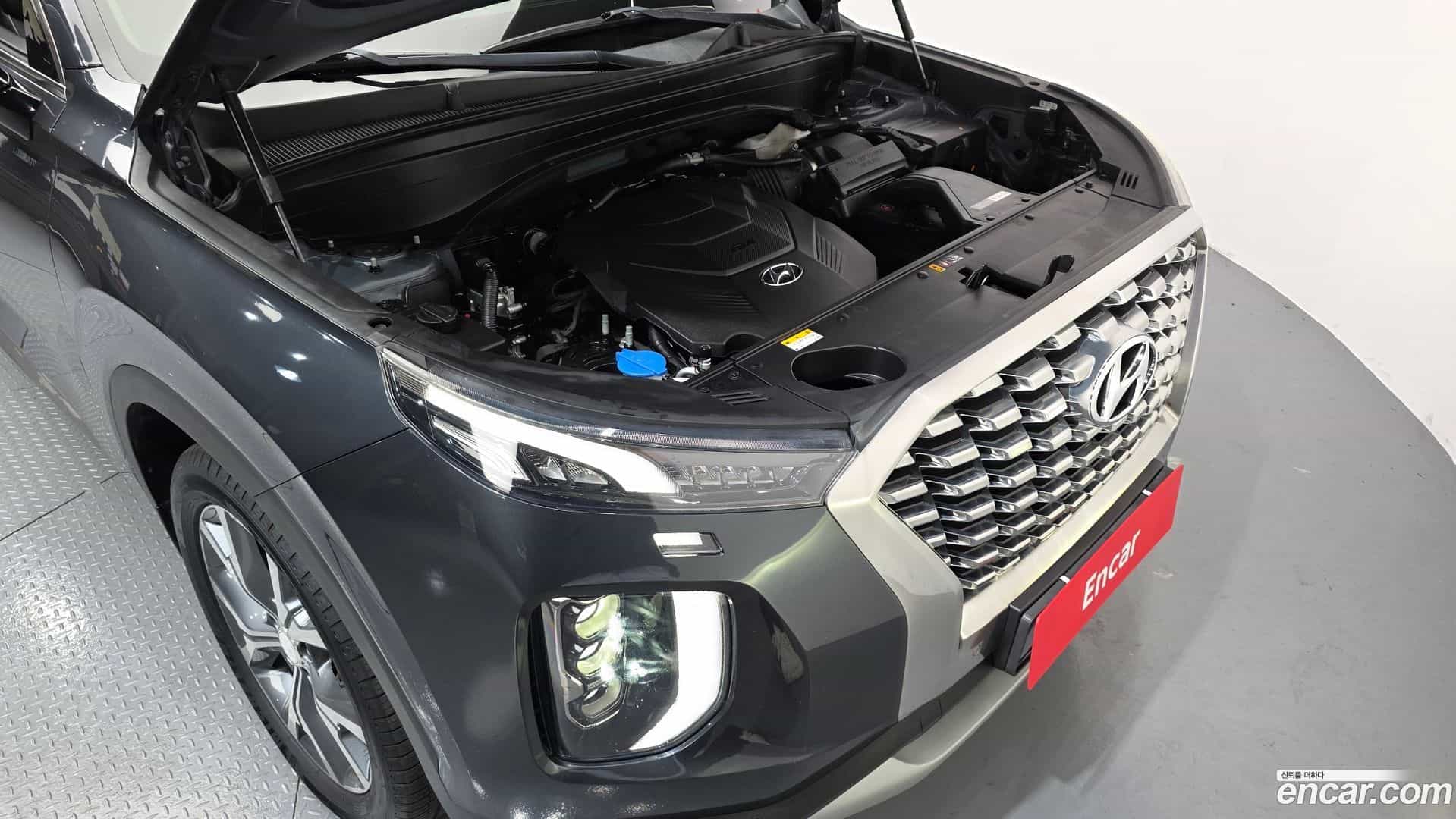 Palisade Hyundai 2019.3-OUTER-006
