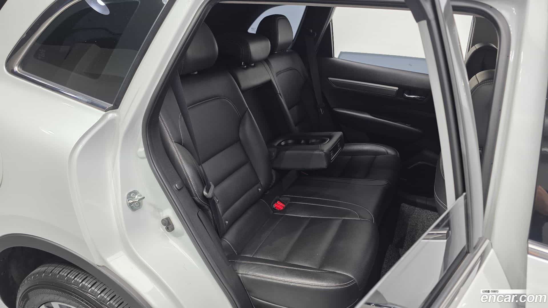 QM6 Renault Korea 2018.4-OPTION-015
