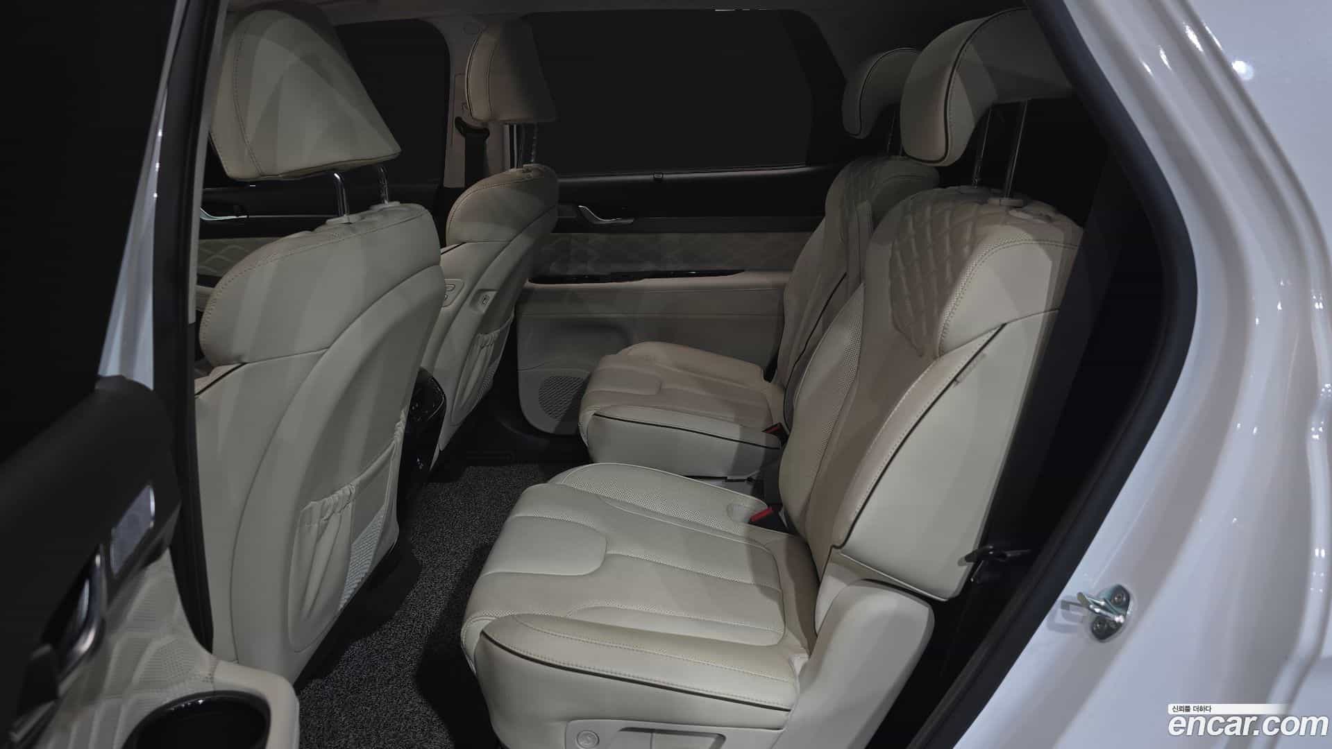 Palisade Hyundai 2021.7-OPTION-016