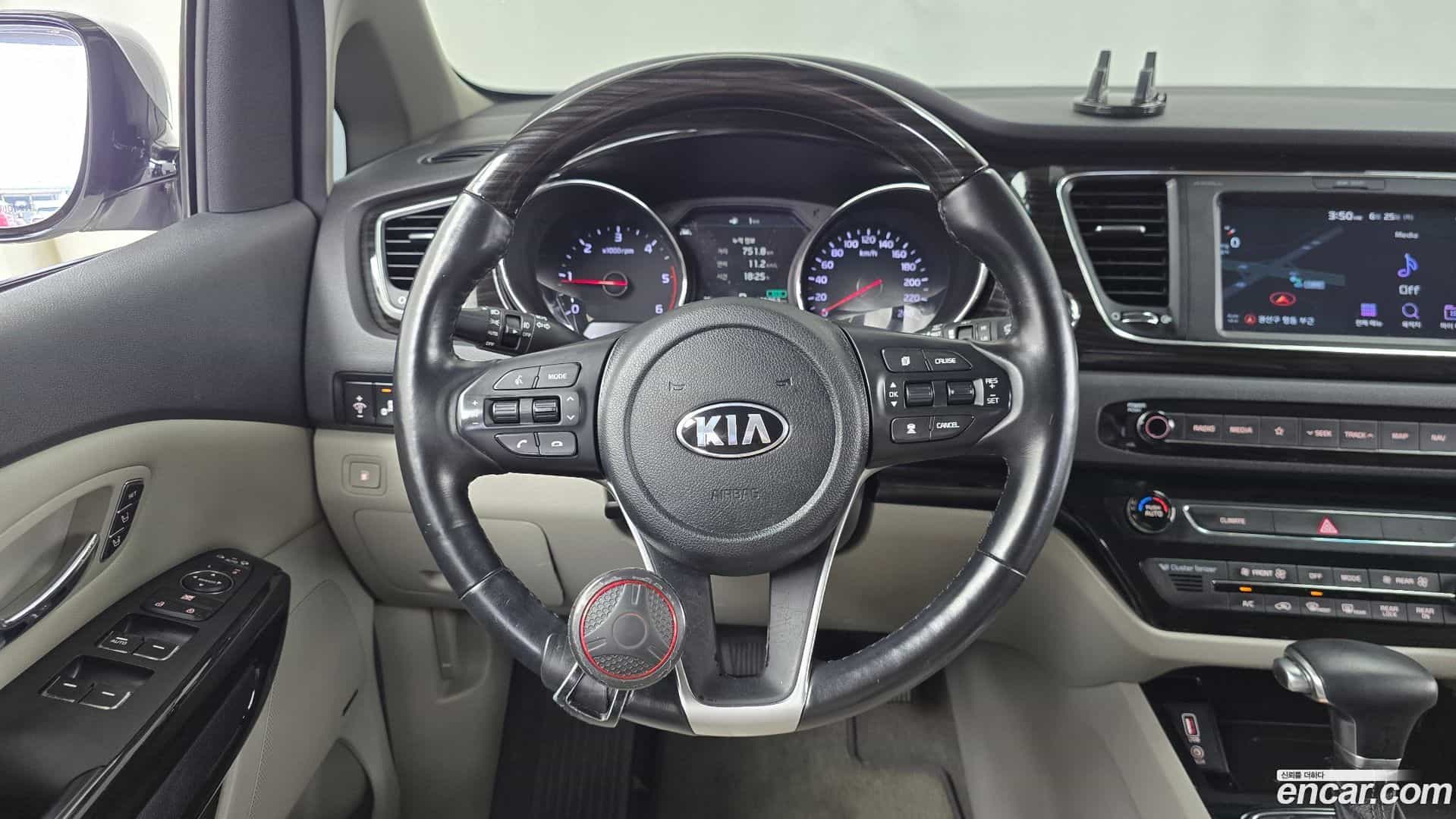Canival Kia 2018.10-OPTION-016