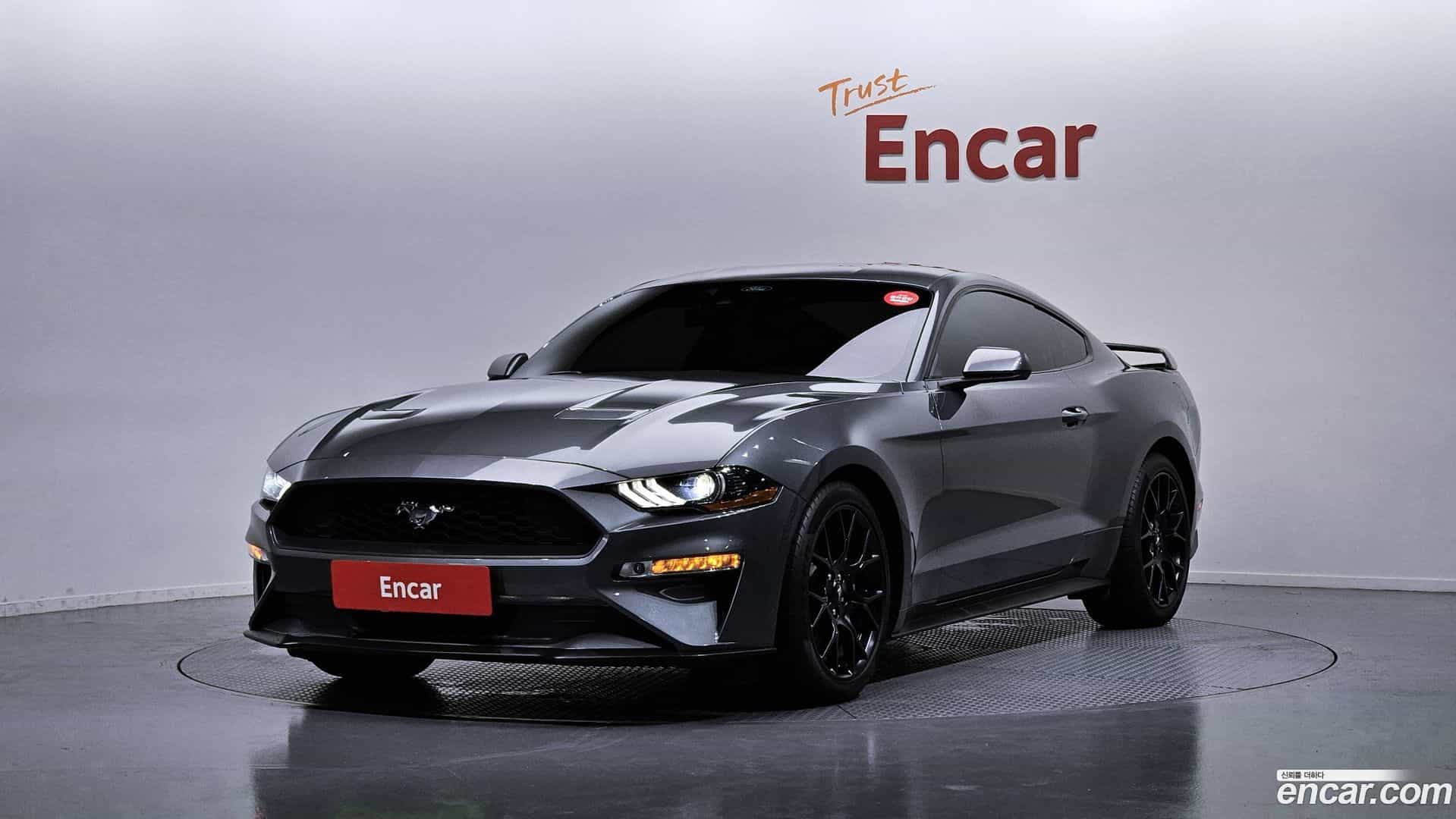 Mustang Ford 2023.8-OUTER-001