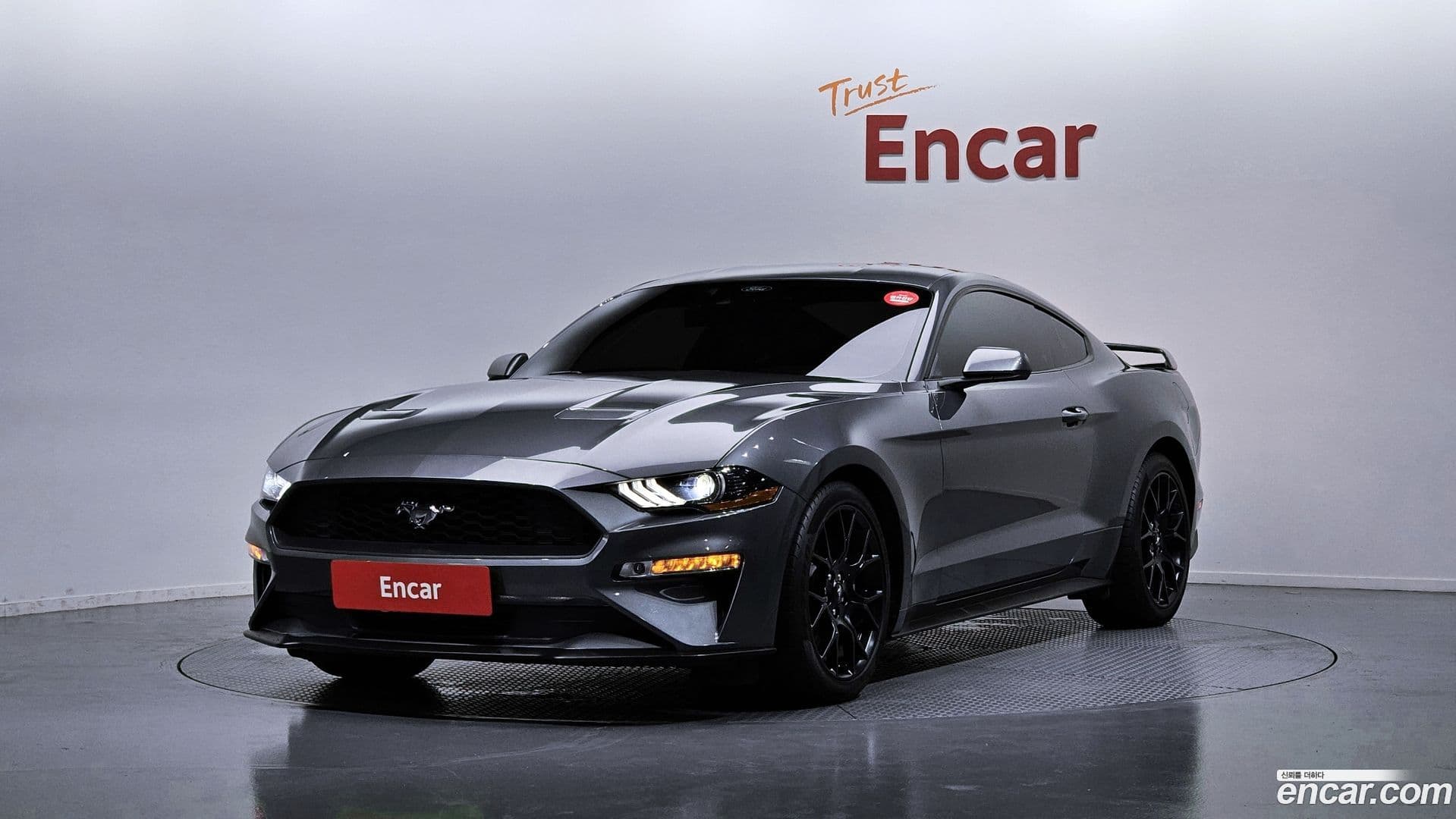 Main__Slider__Photo:Mustang Ford 2023.8-0