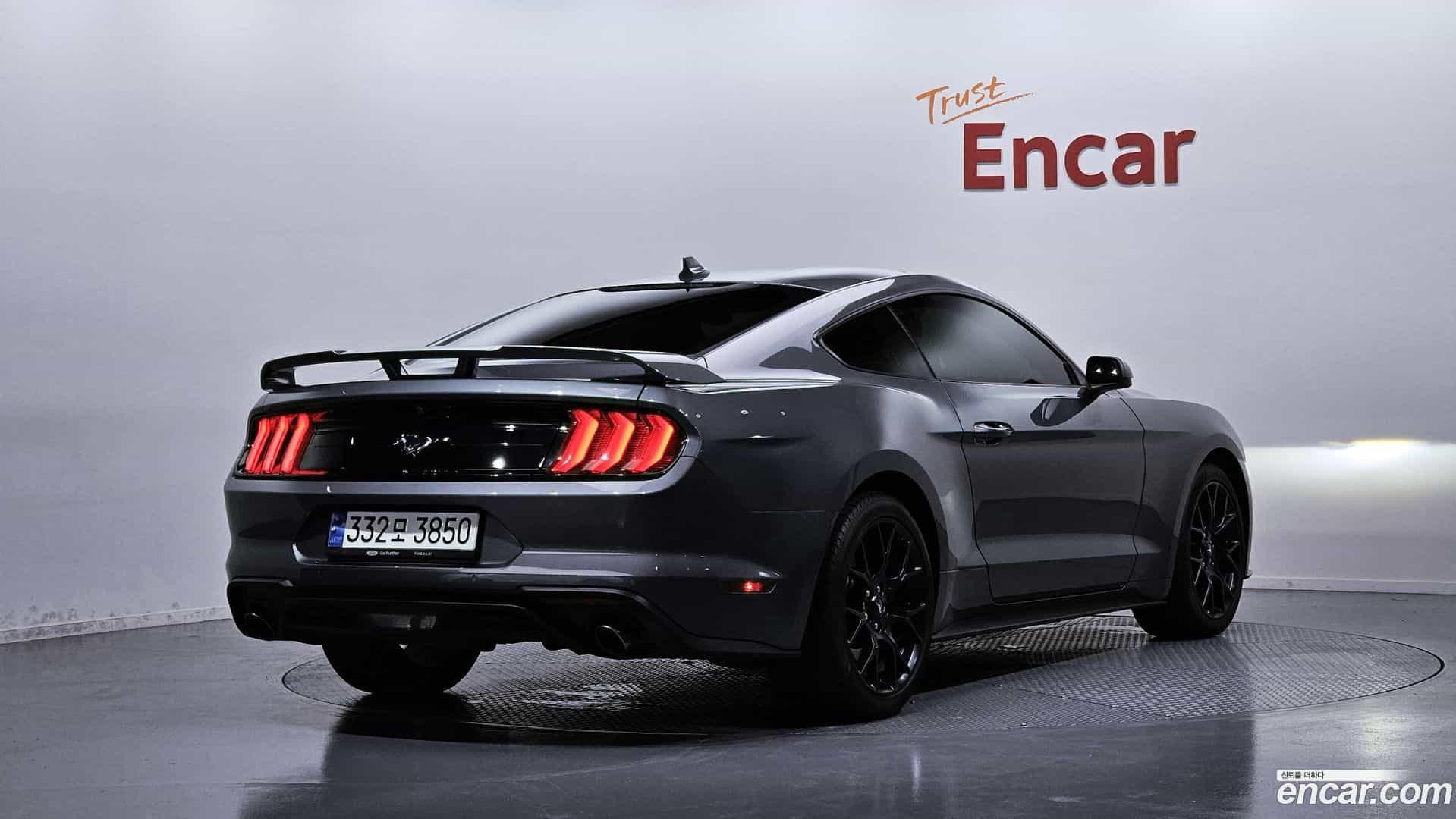 Mustang Ford 2023.8-OUTER-002
