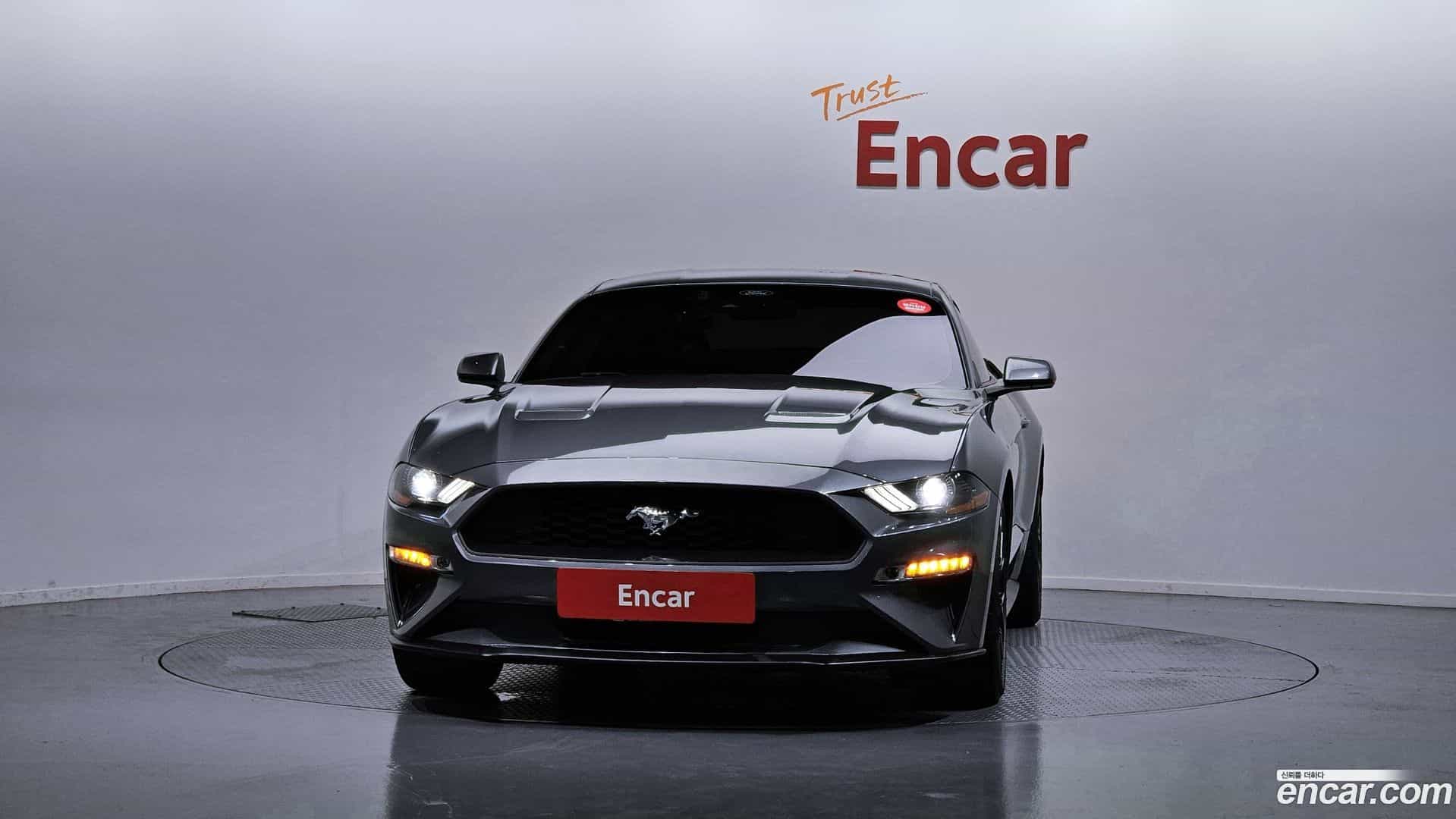 Mustang Ford 2023.8-OUTER-003