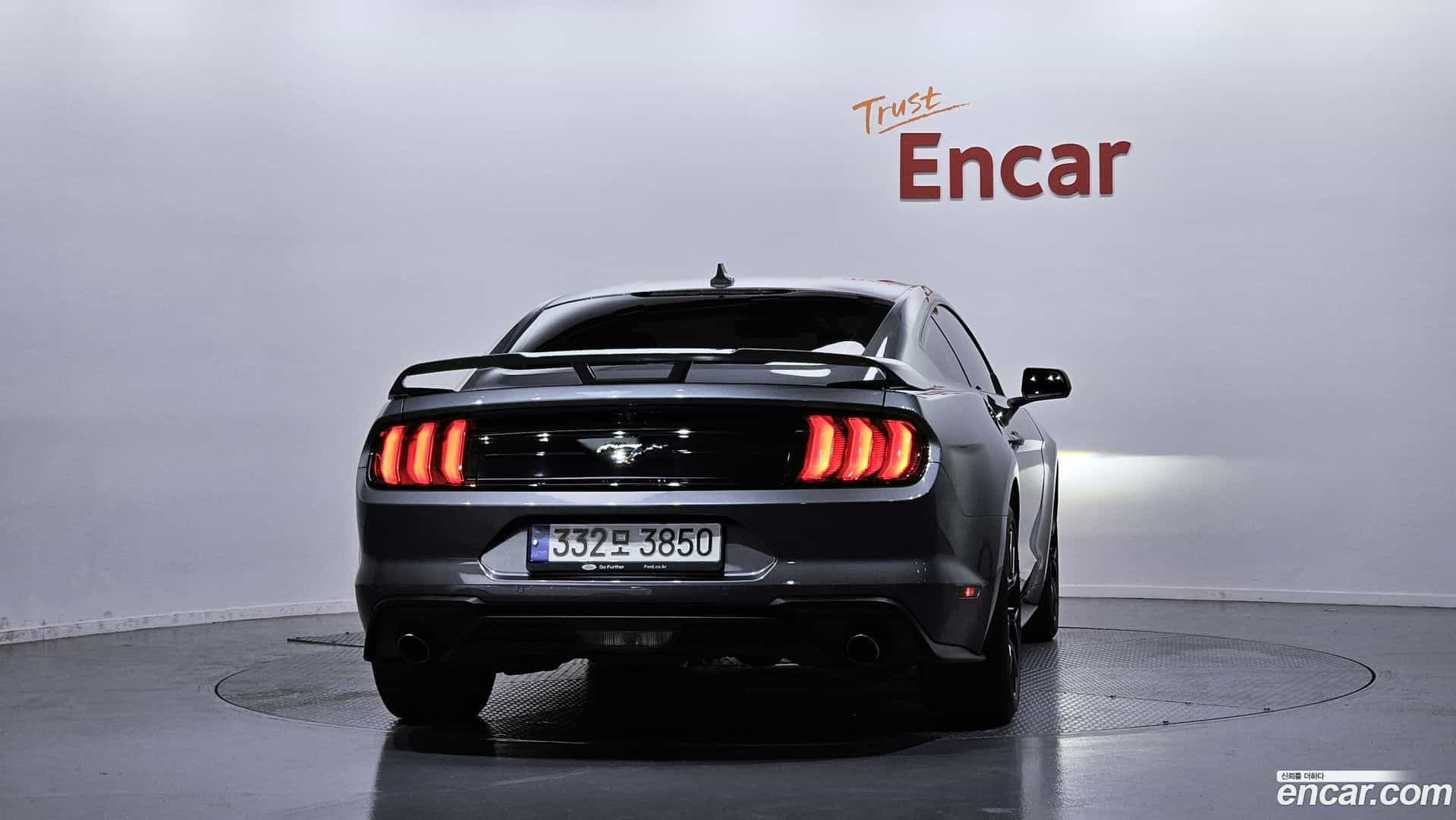 Mustang Ford 2023.8-OUTER-004