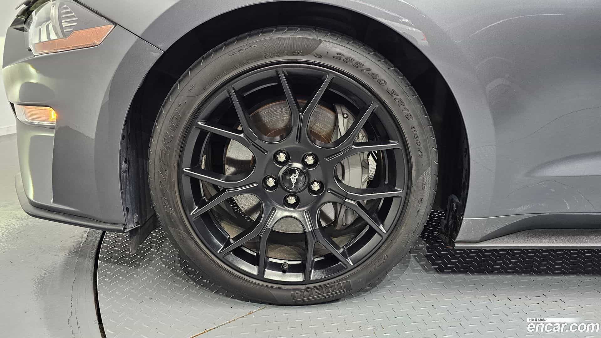 Mustang Ford 2023.8-OUTER-005