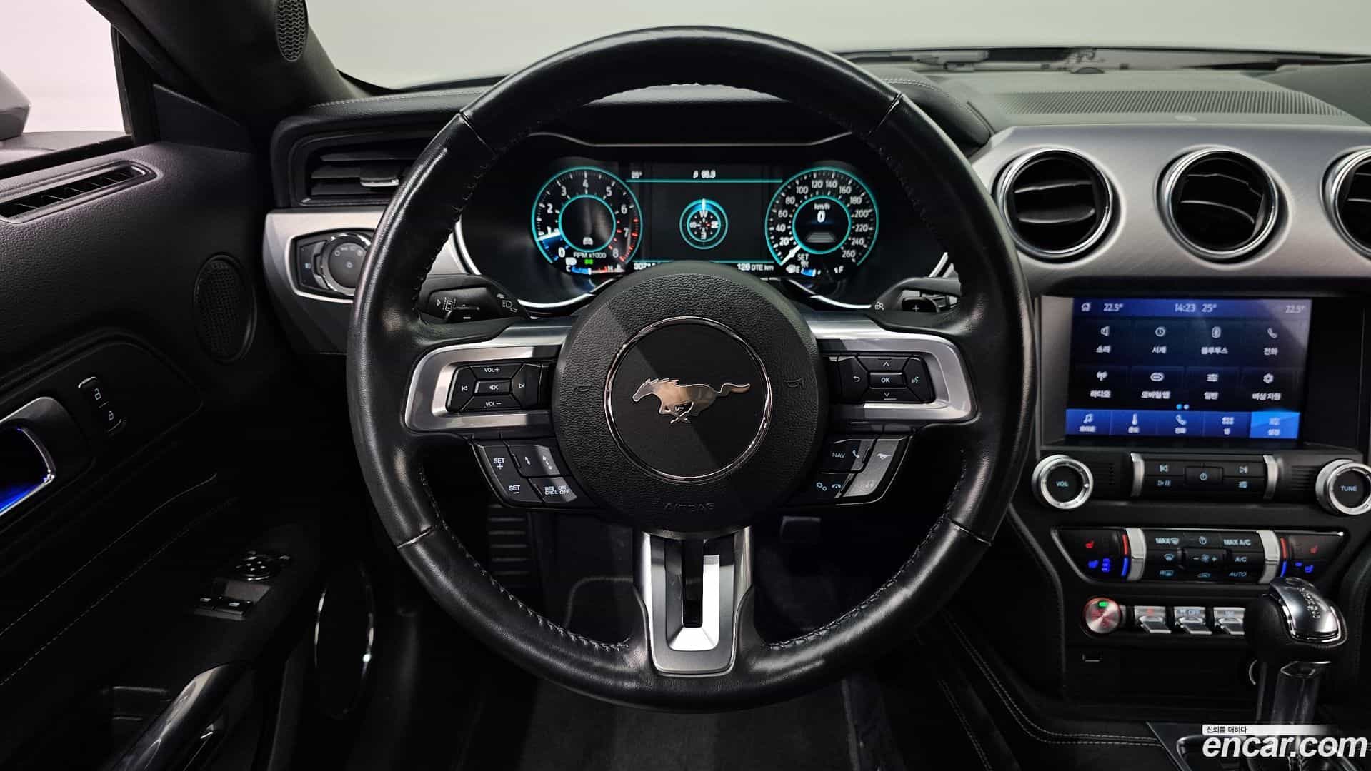 Mustang Ford 2023.8-OPTION-017