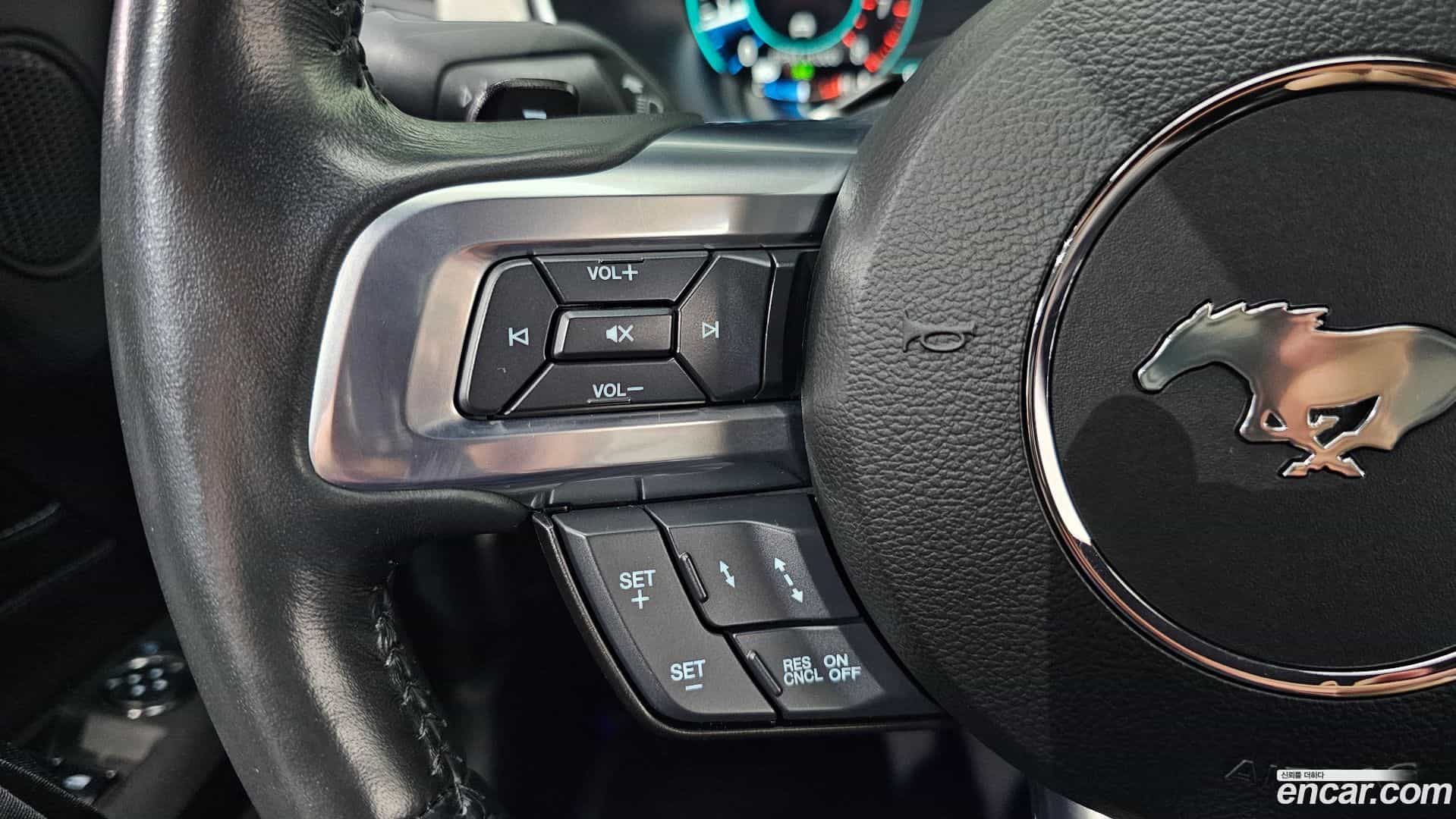 Mustang Ford 2023.8-OPTION-020