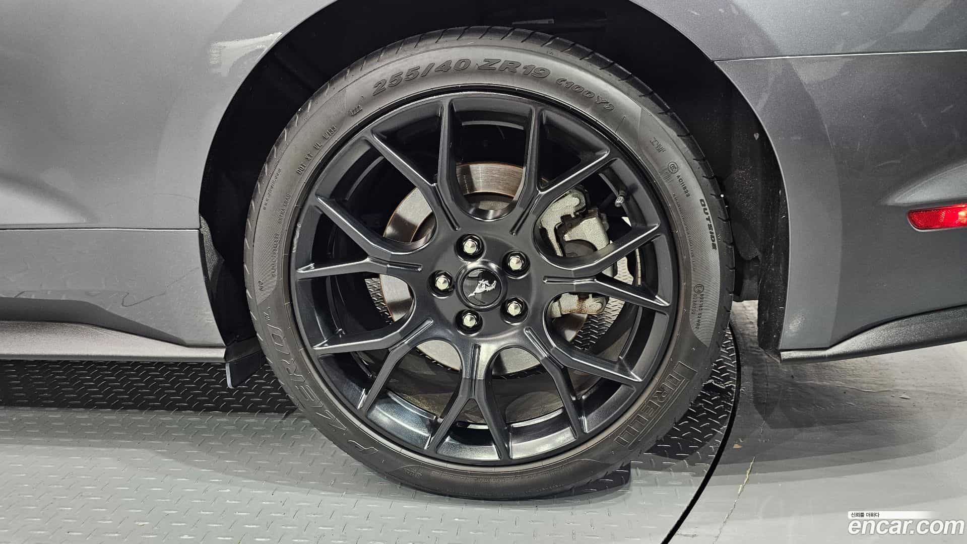 Mustang Ford 2023.8-OUTER-031