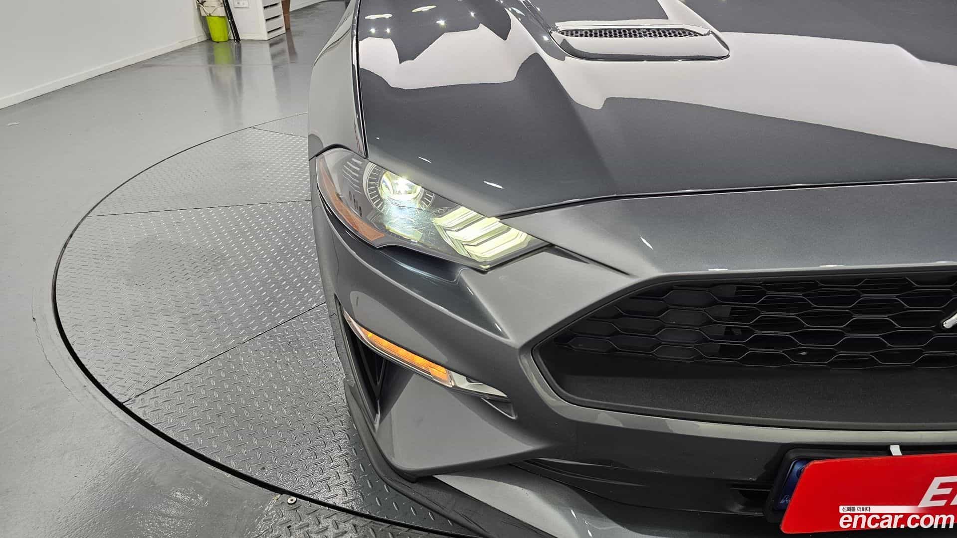 Mustang Ford 2023.8-OUTER-032