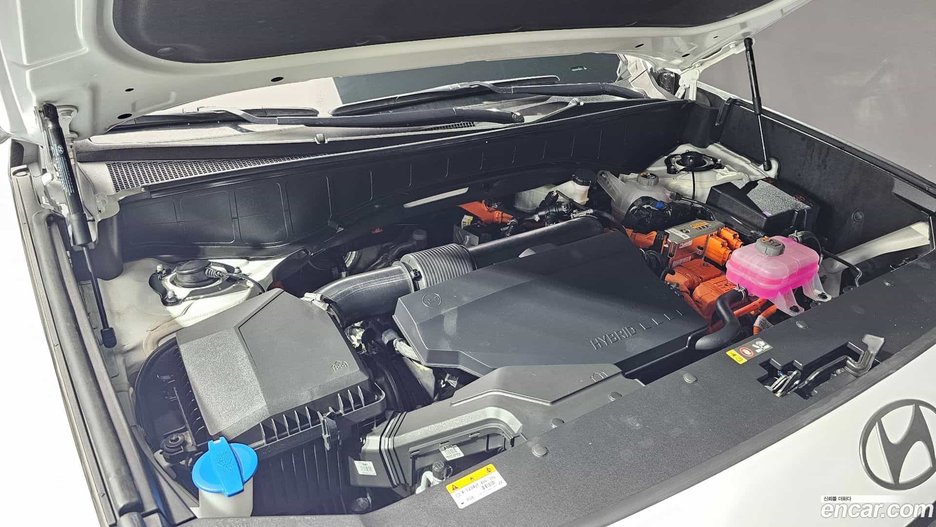Palisade Hyundai 2025.5-OUTER-006