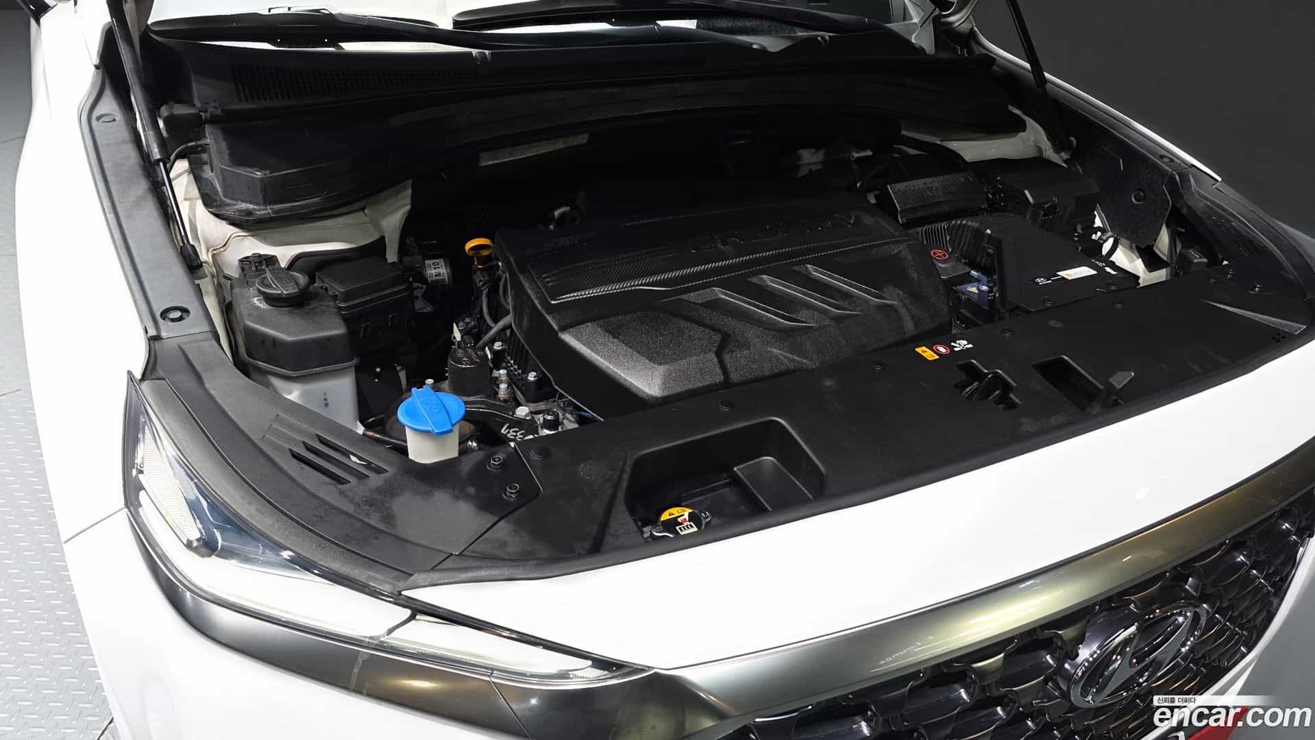 Santafe Hyundai 2018.8-OUTER-006
