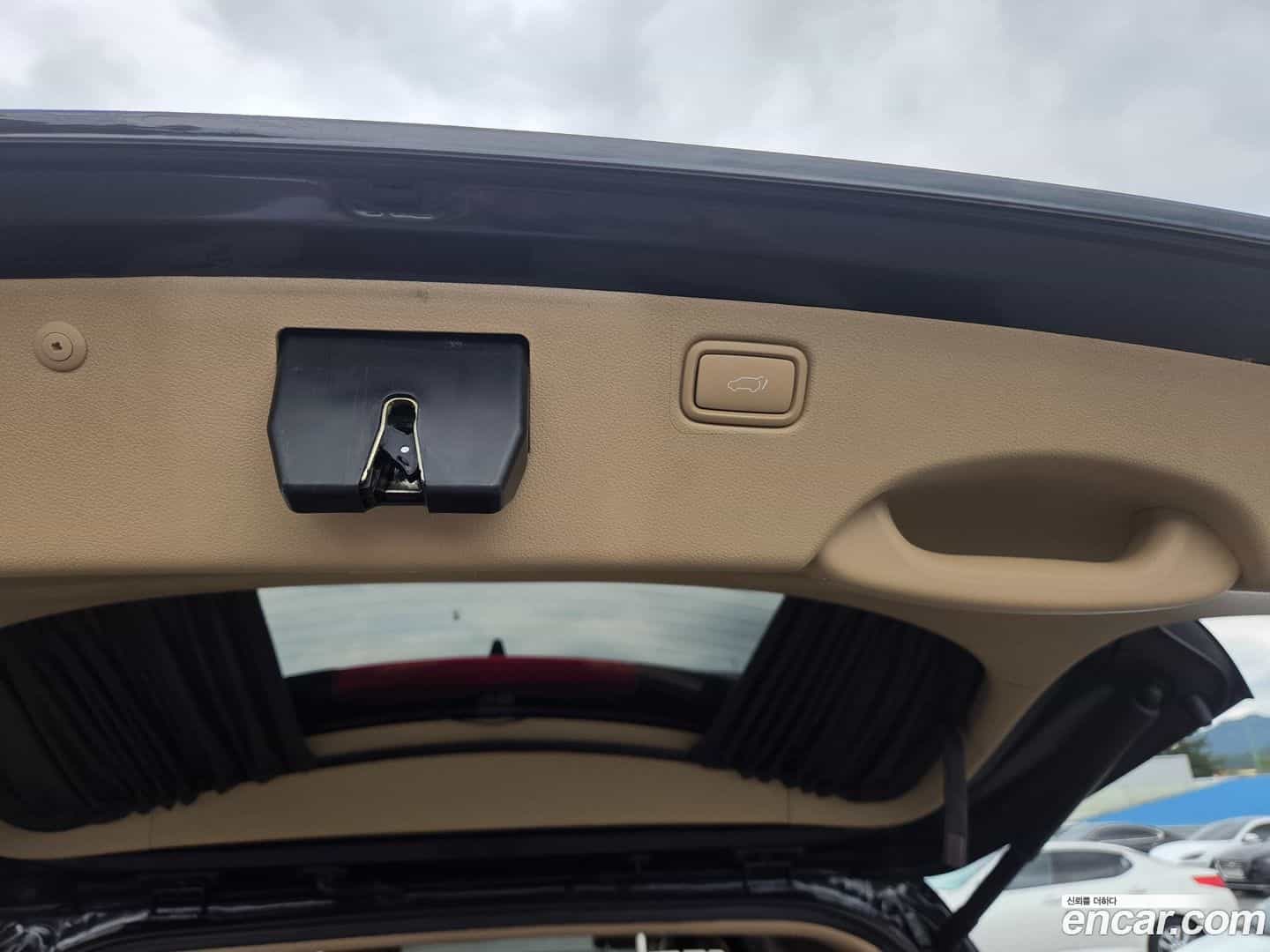 Canival Kia 2016.0-OPTION-021