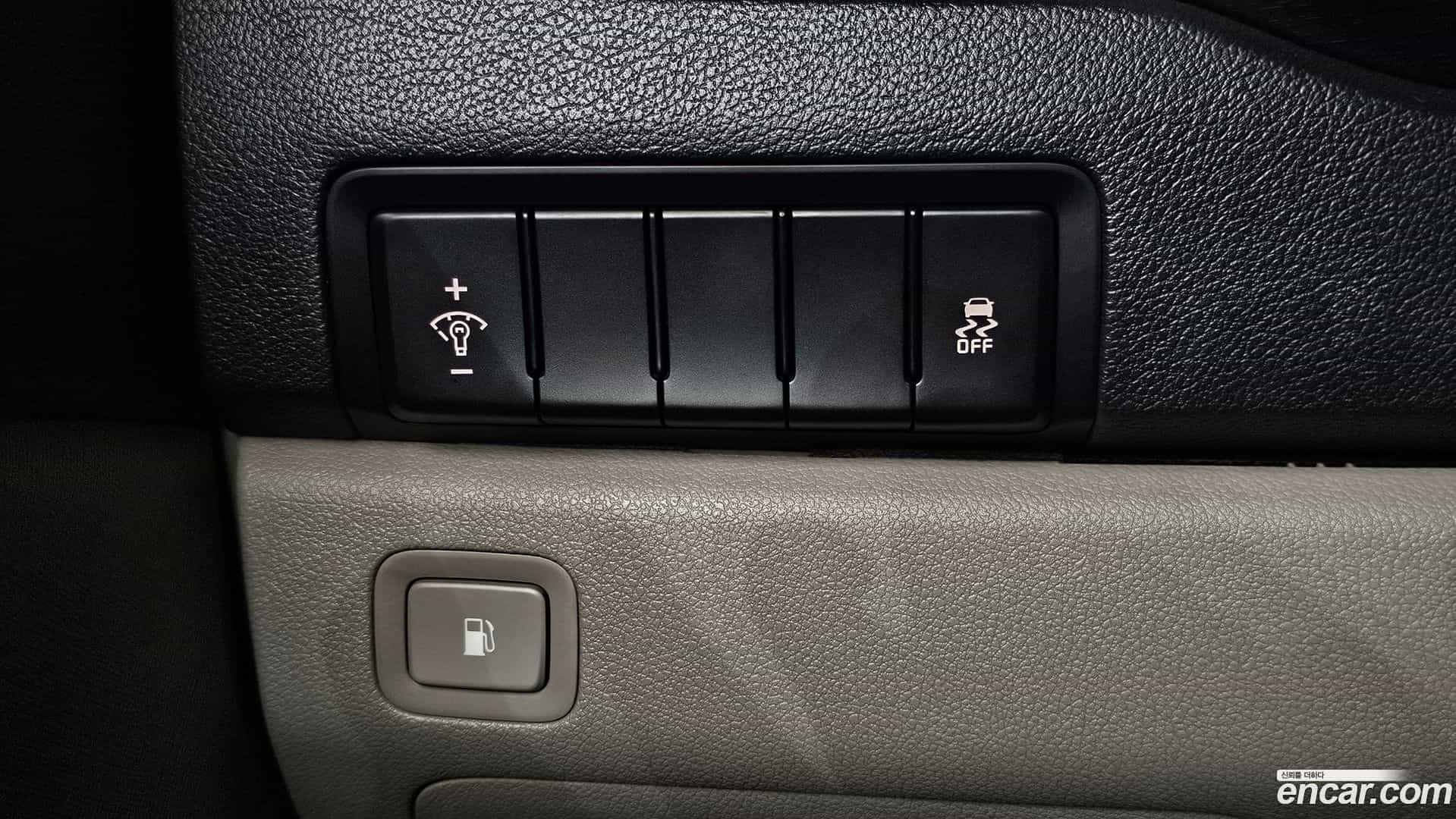 Canival Kia 2019.5-OPTION-017