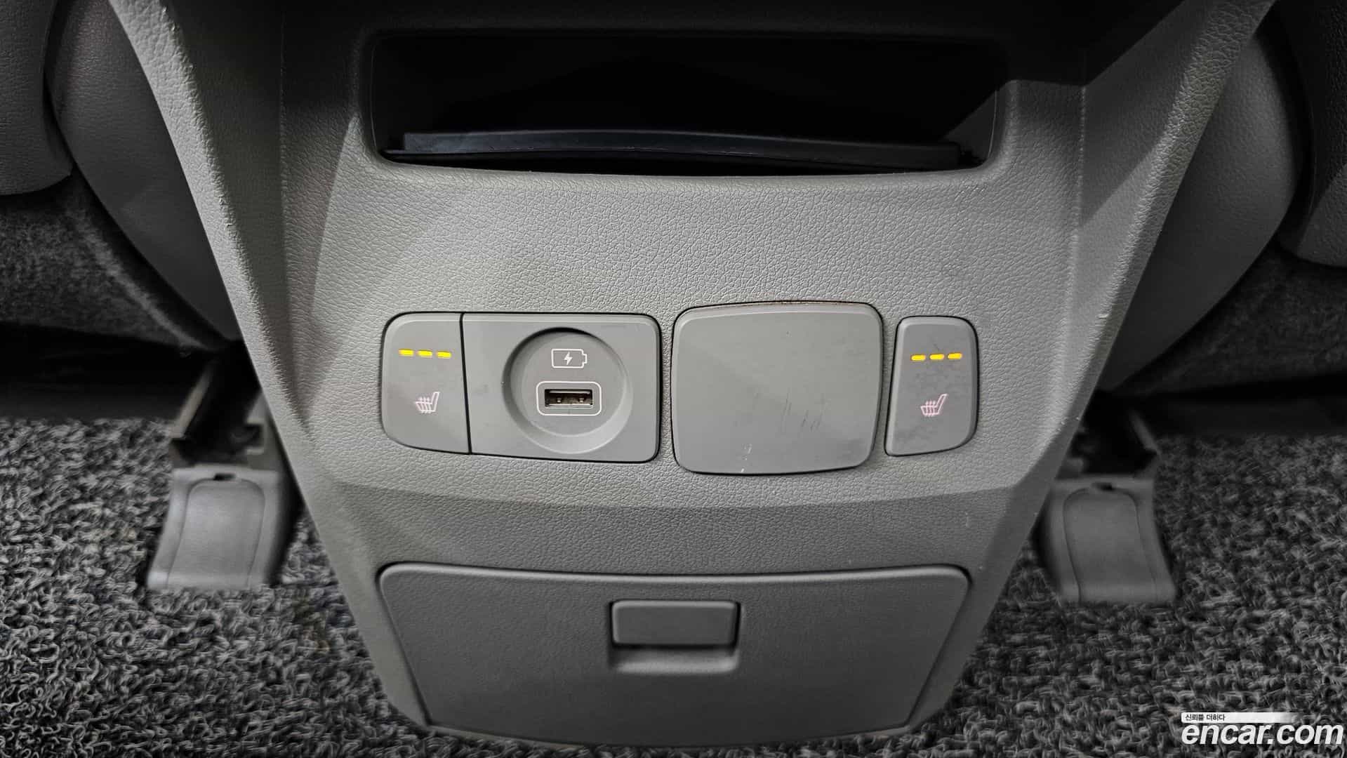 Canival Kia 2019.5-OPTION-040