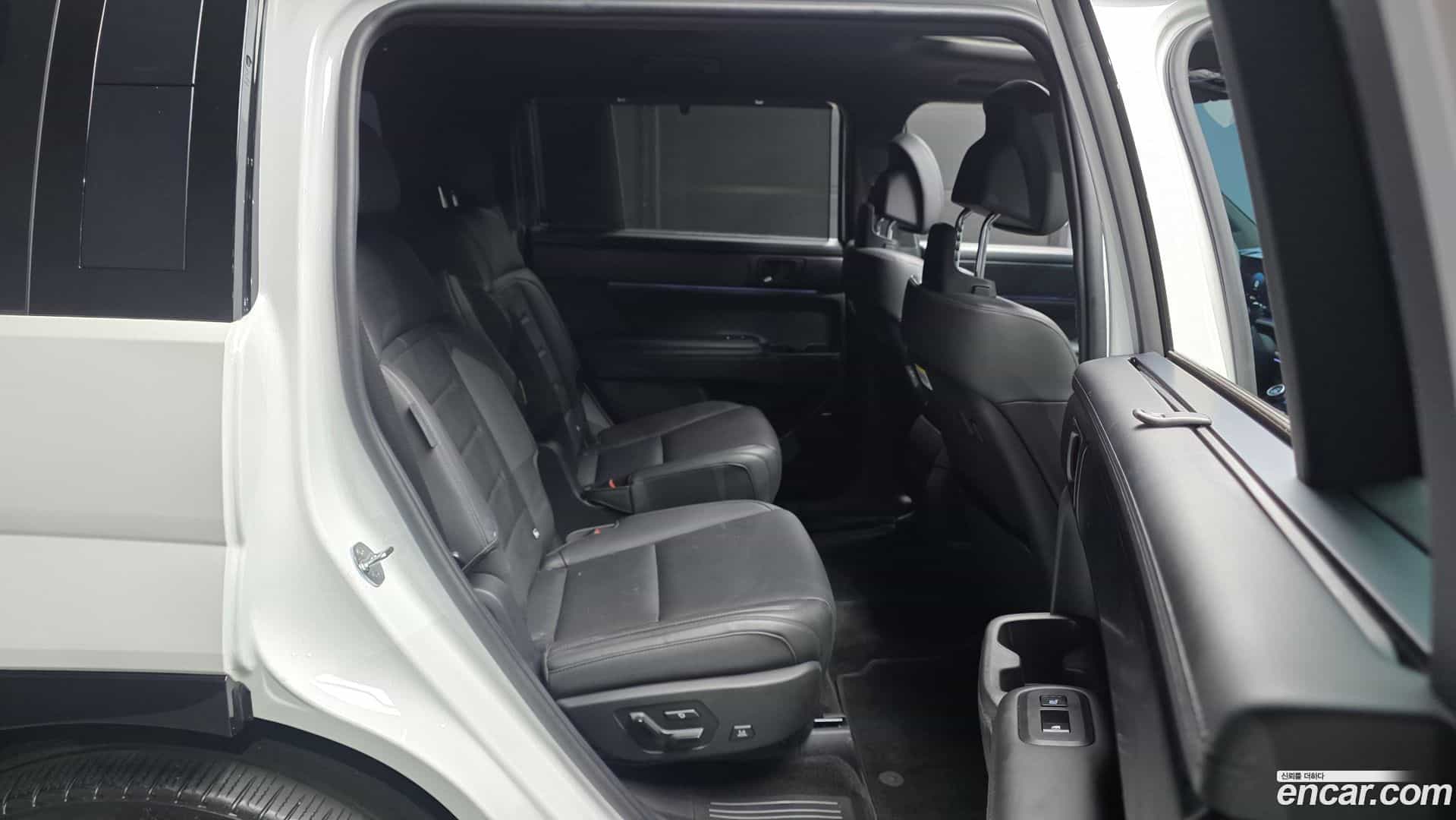 Santafe Hyundai 2024.1-OPTION-016