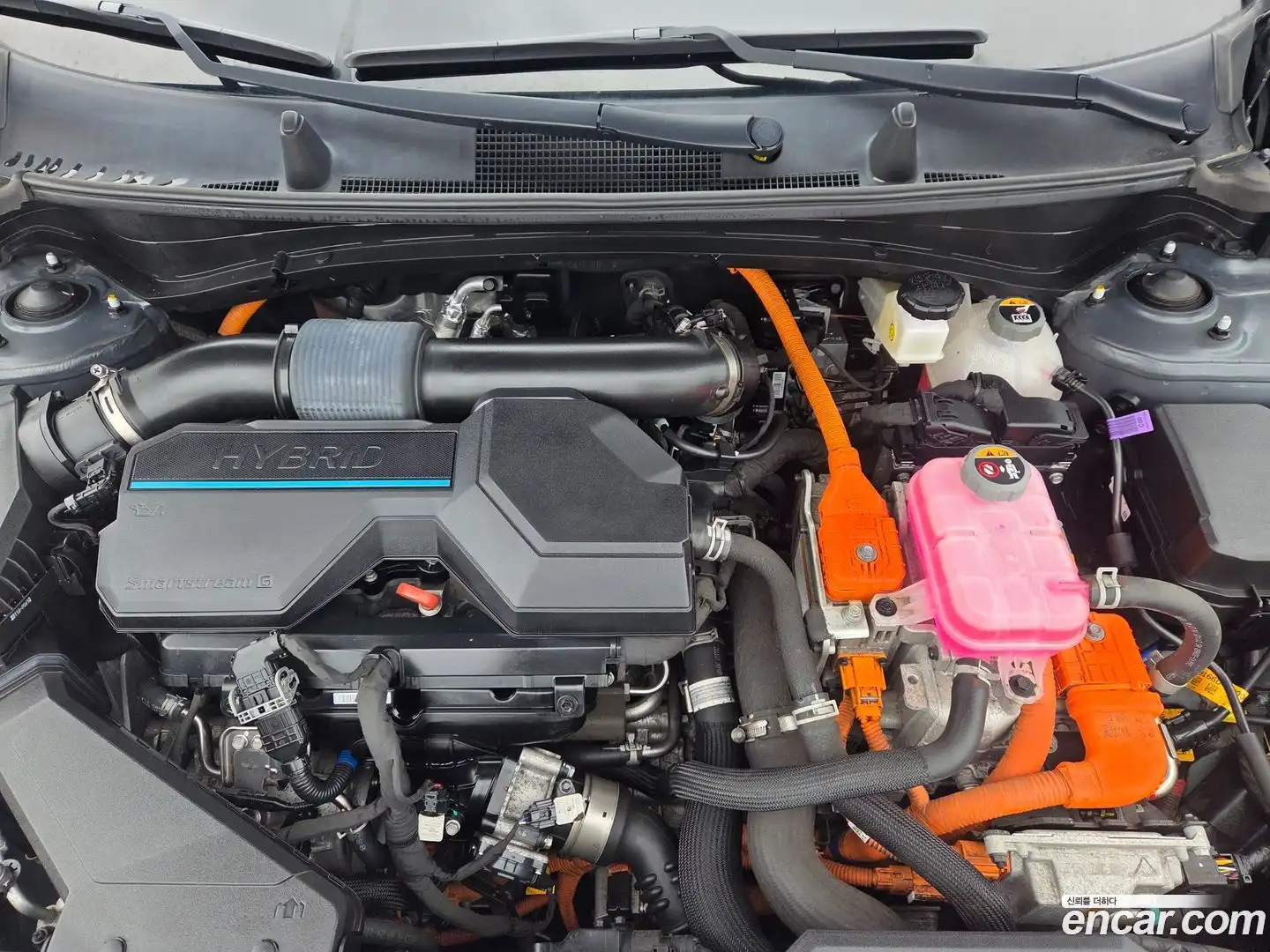 Sportage Kia 2021.11-OUTER-006