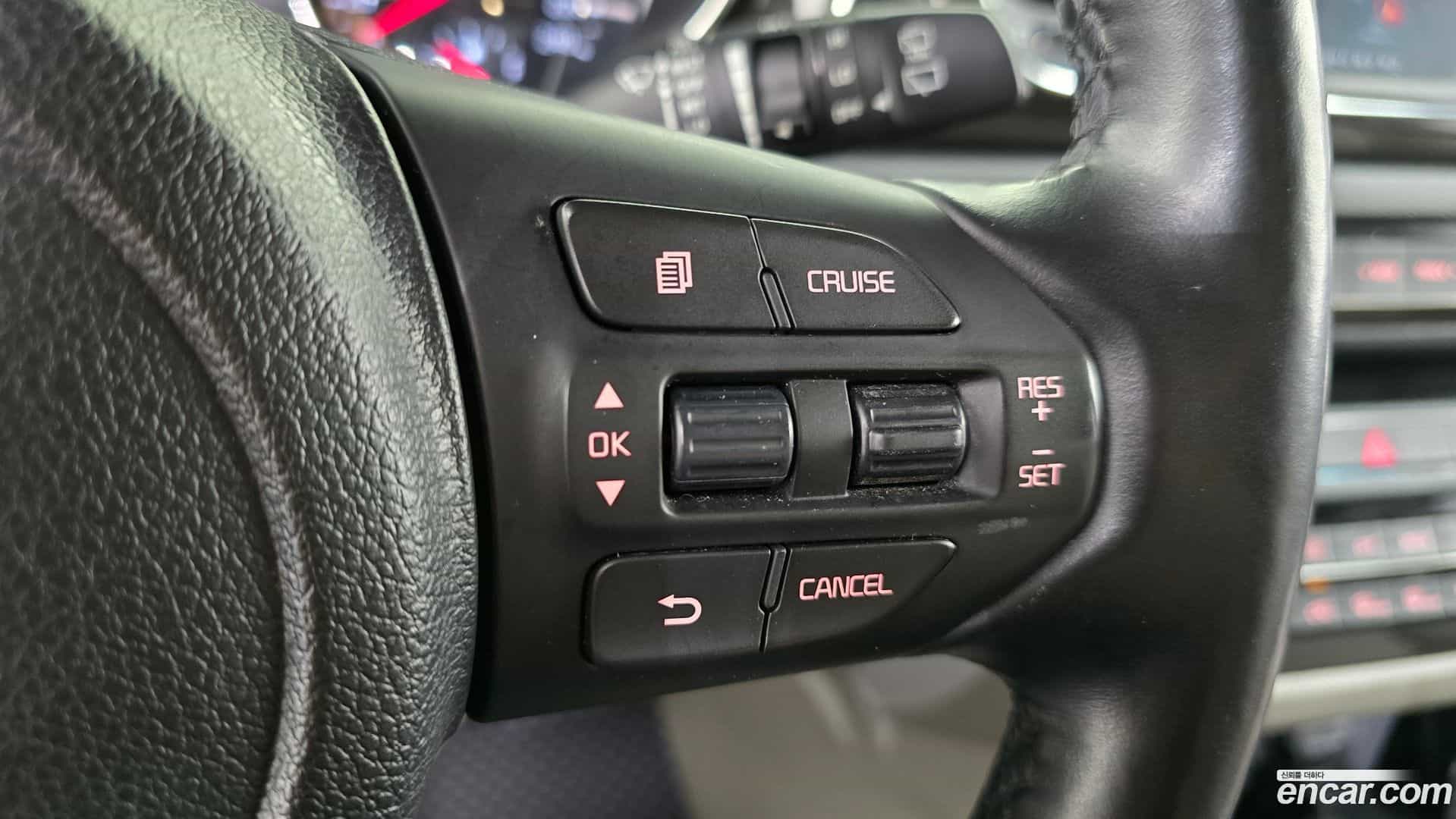Canival Kia 2019.5-OPTION-022