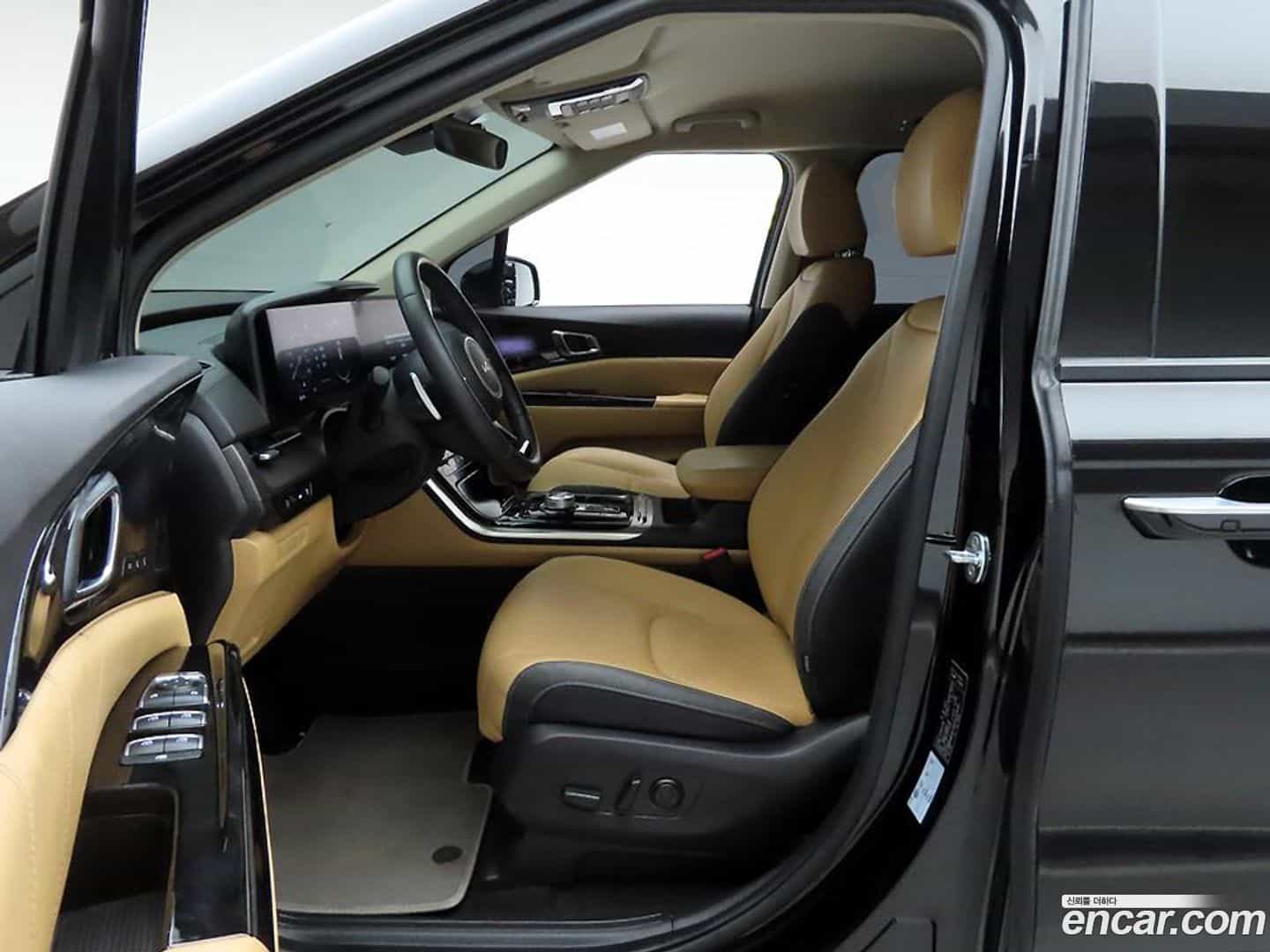Canival Kia 2022.8-OPTION-016