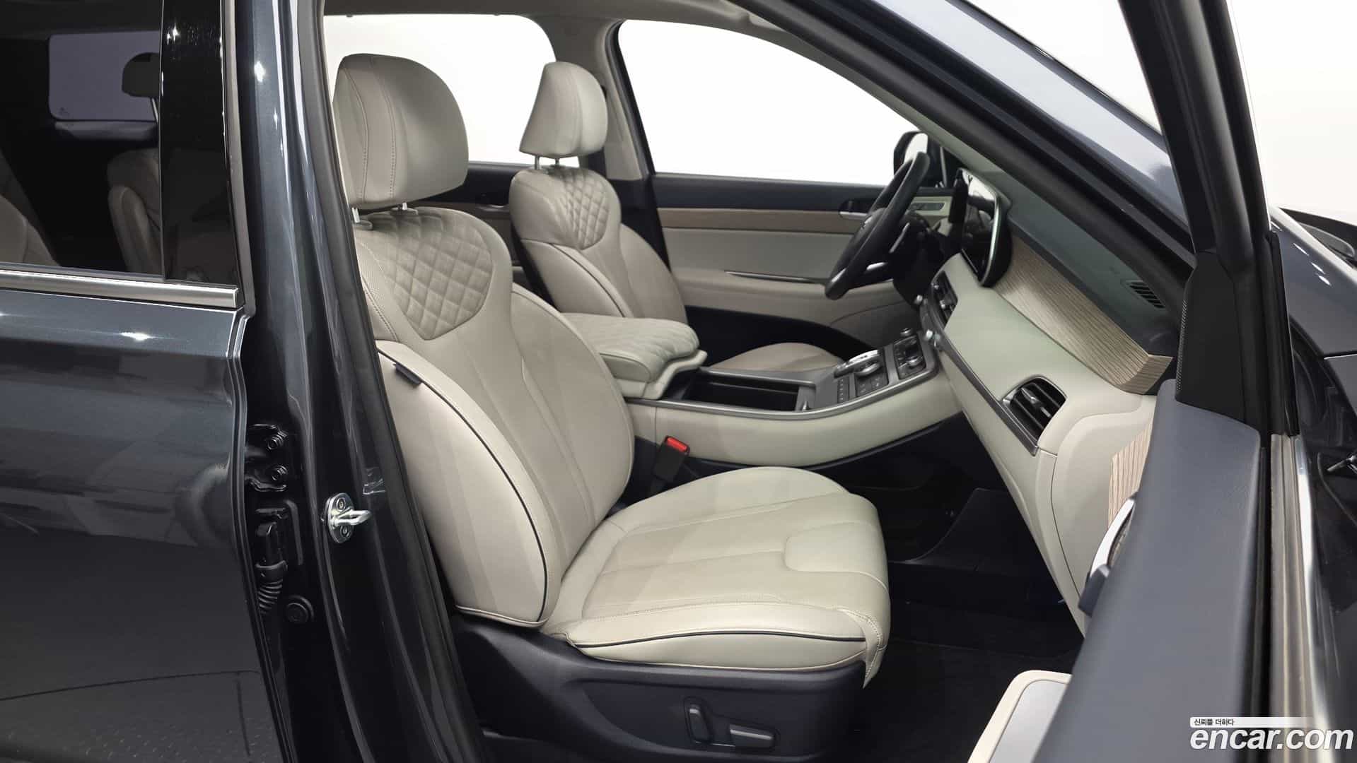 Palisade Hyundai 2019.0-OPTION-015