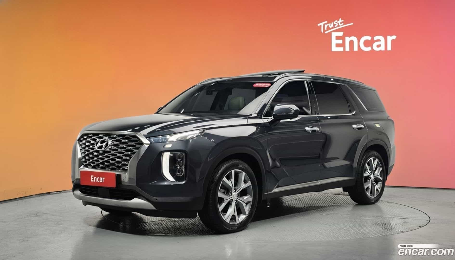 Palisade Hyundai 2019.0-DIAG2-001