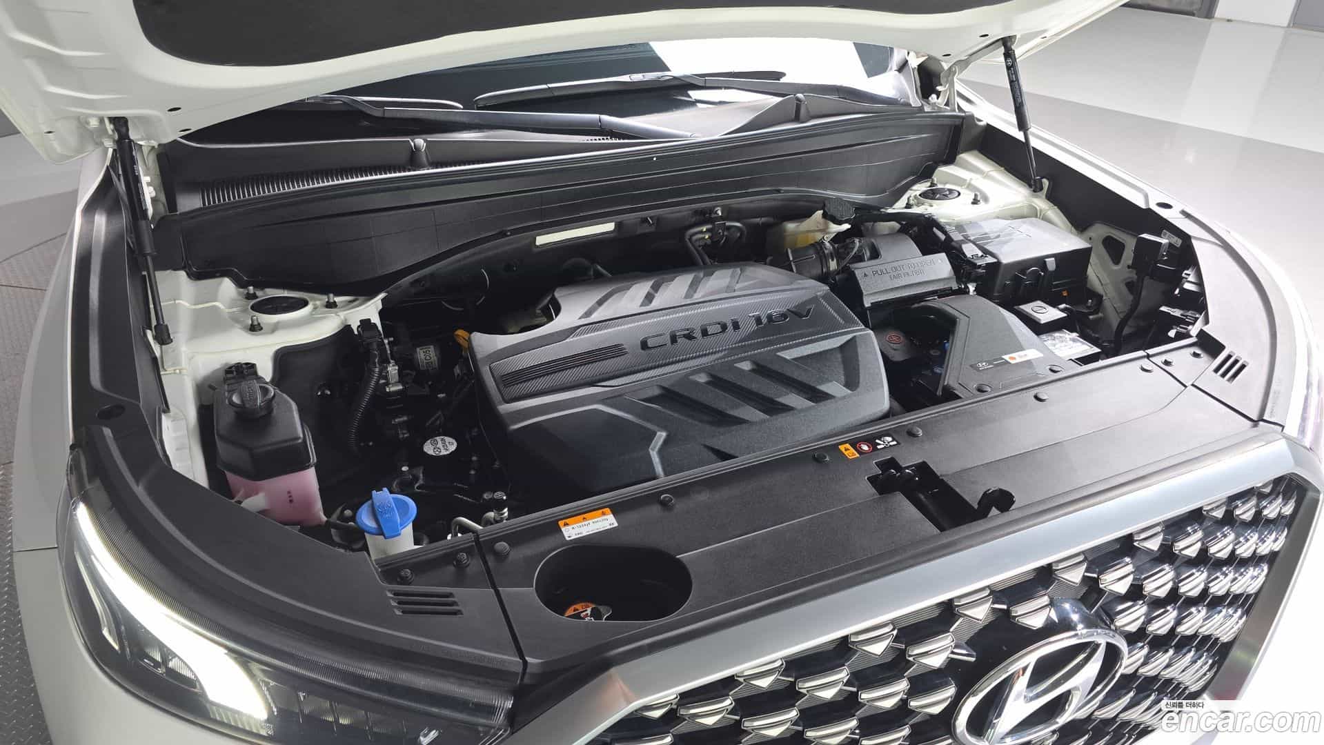 Palisade Hyundai 2020.9-OPTION-041