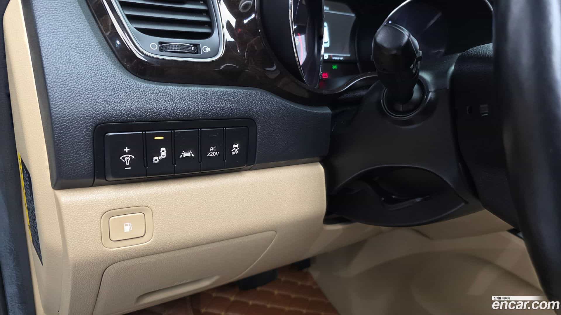 Canival Kia 2018.6-OPTION-021