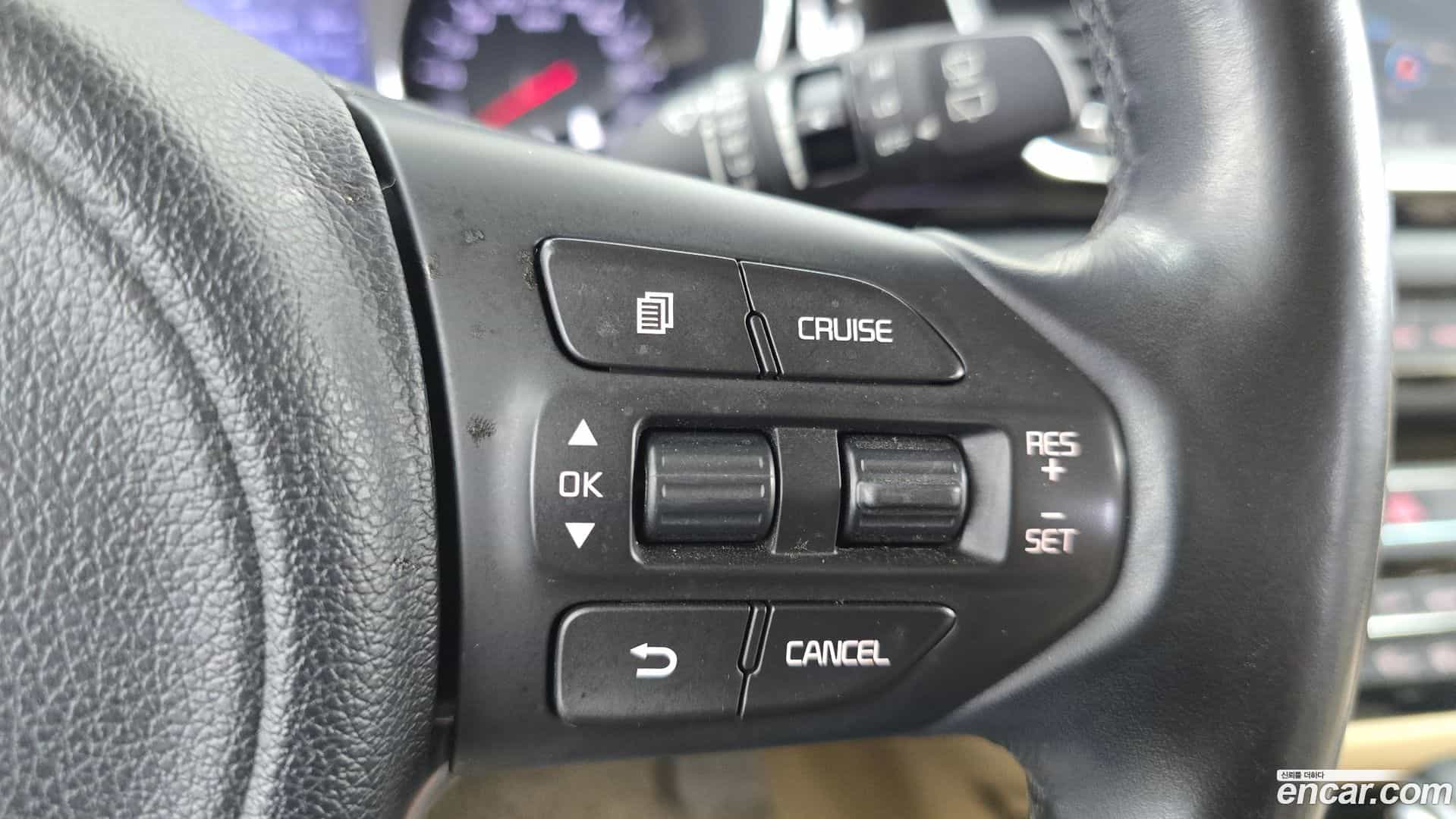 Canival Kia 2018.4-OPTION-023