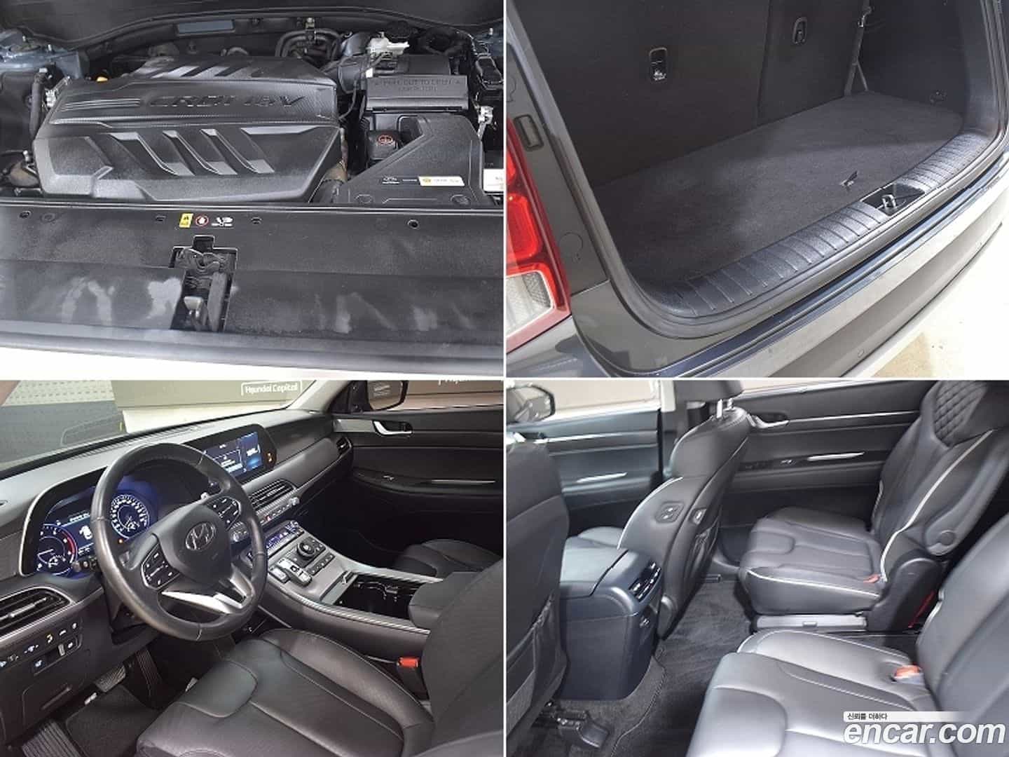 Palisade Hyundai 2019.6-OUTER-006