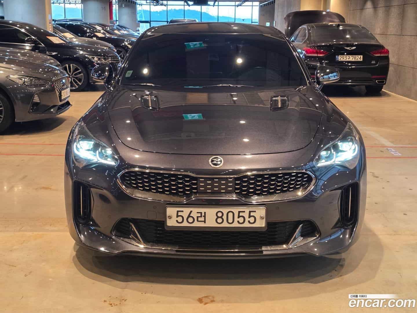 Stinger Kia 2019.4-OUTER-003