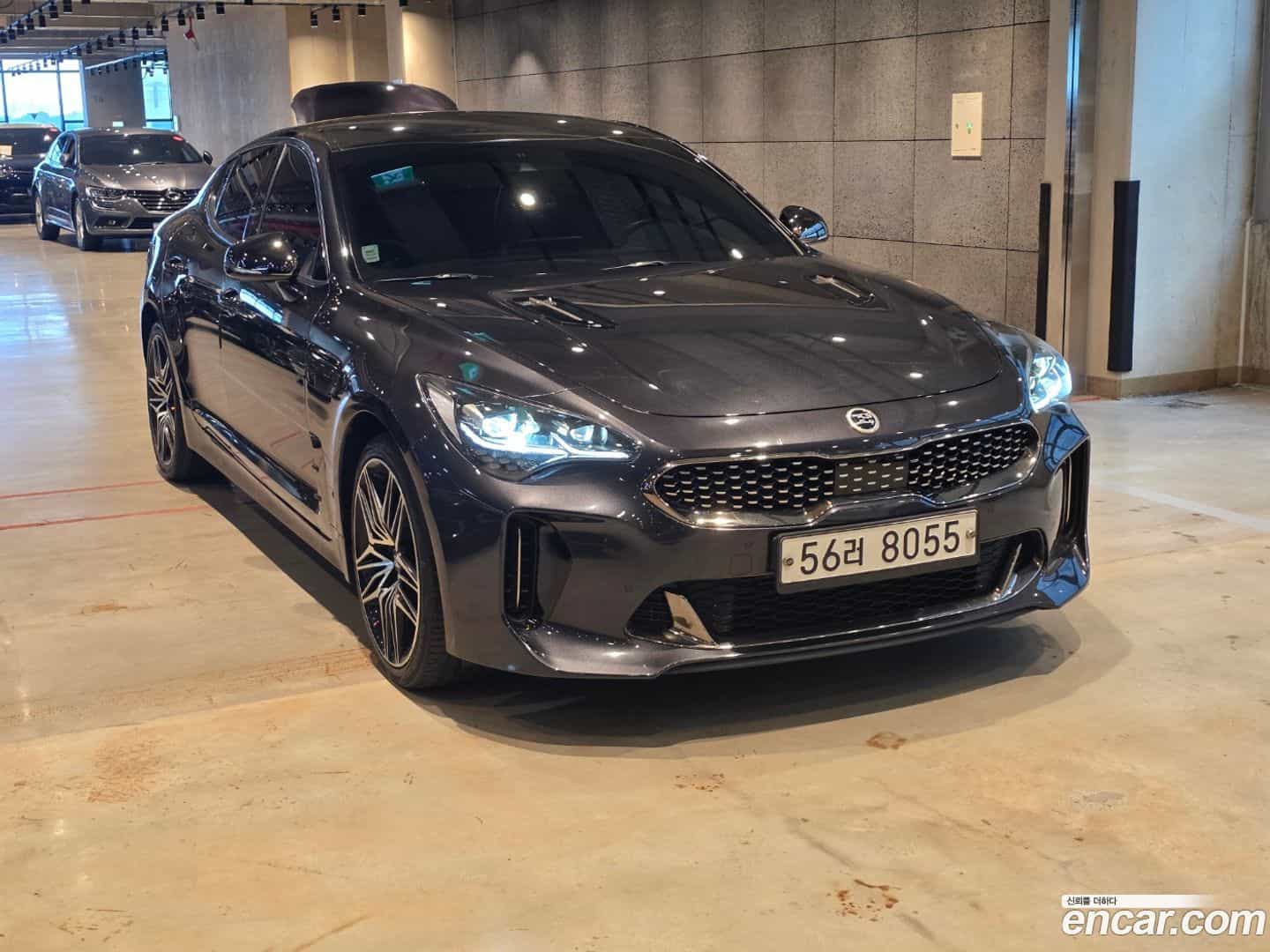 Stinger Kia 2019.4-OPTION-024