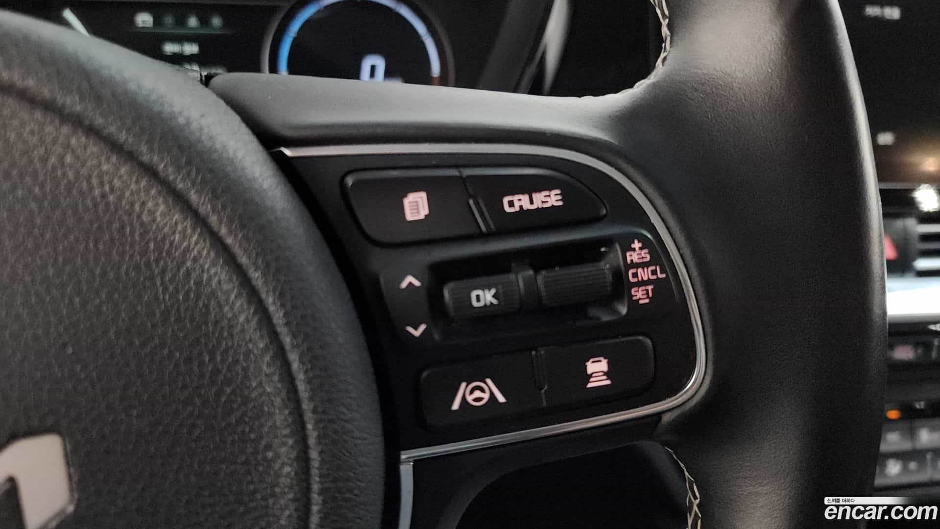 Niro Kia 2021.5-OPTION-019