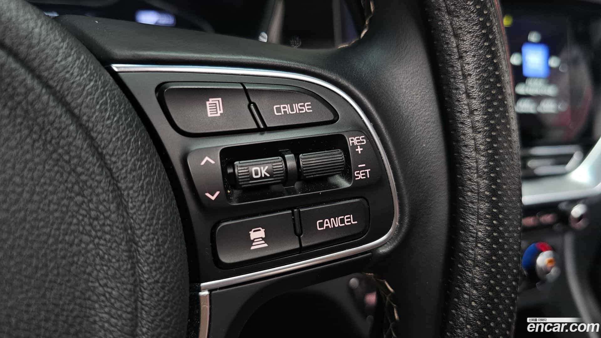 Niro Kia 2019.3-OPTION-043