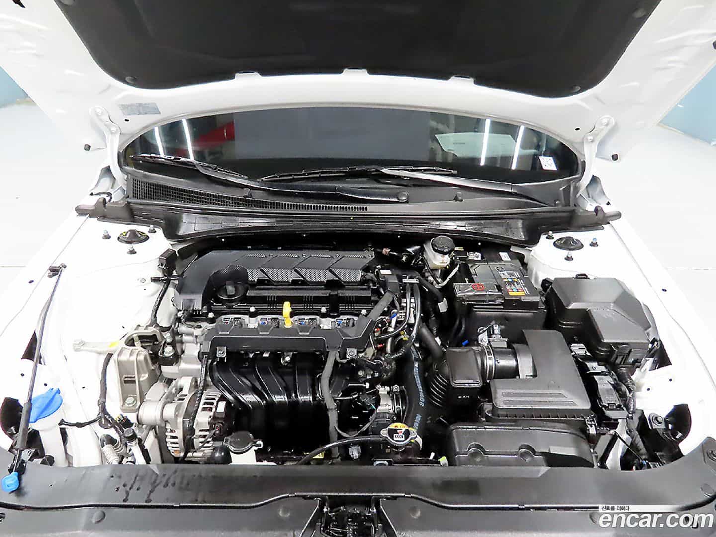 AVANTE Hyundai 2024.9-OPTION-023