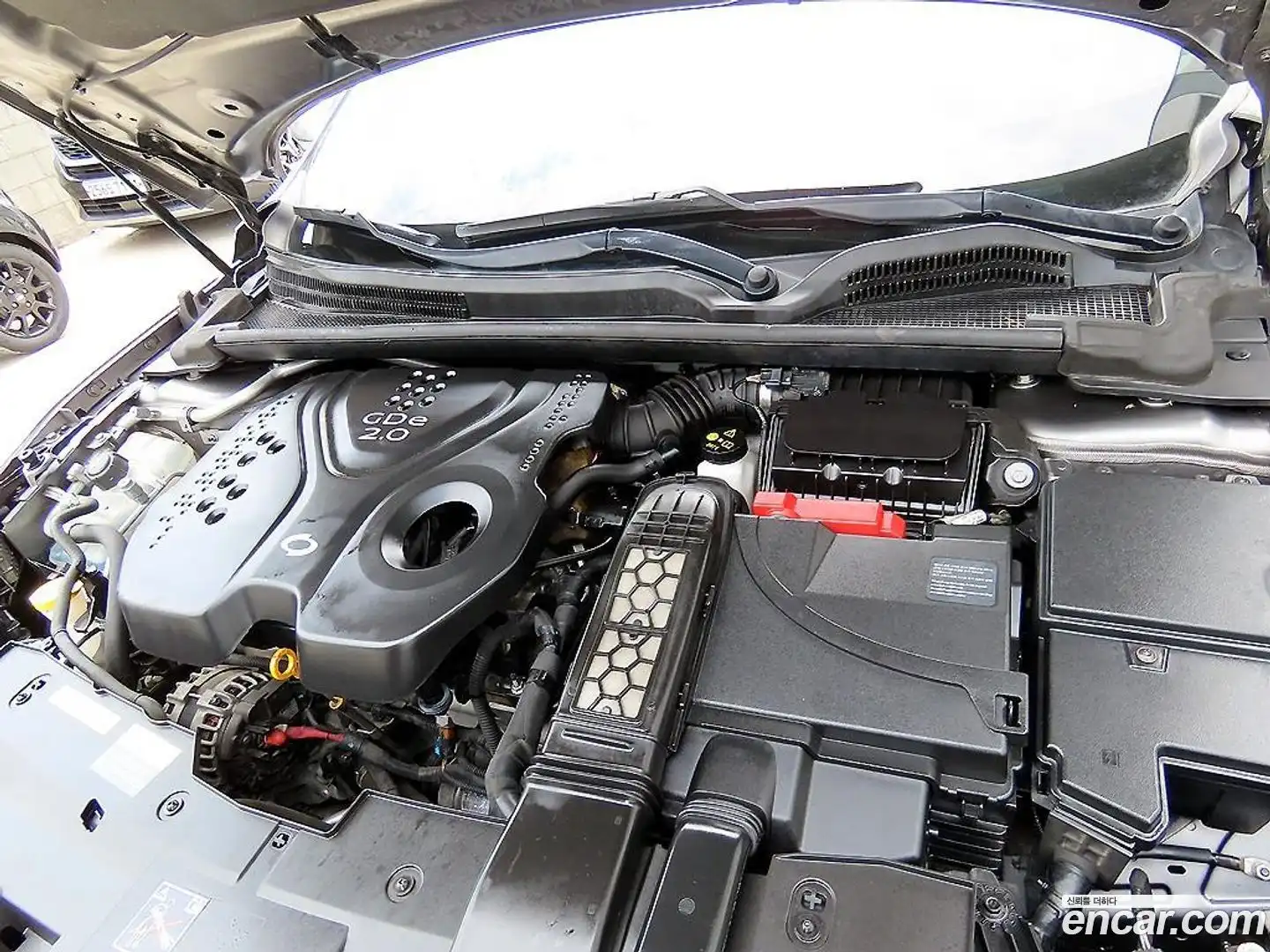 SM6 Renault Korea 2018.10-OPTION-023