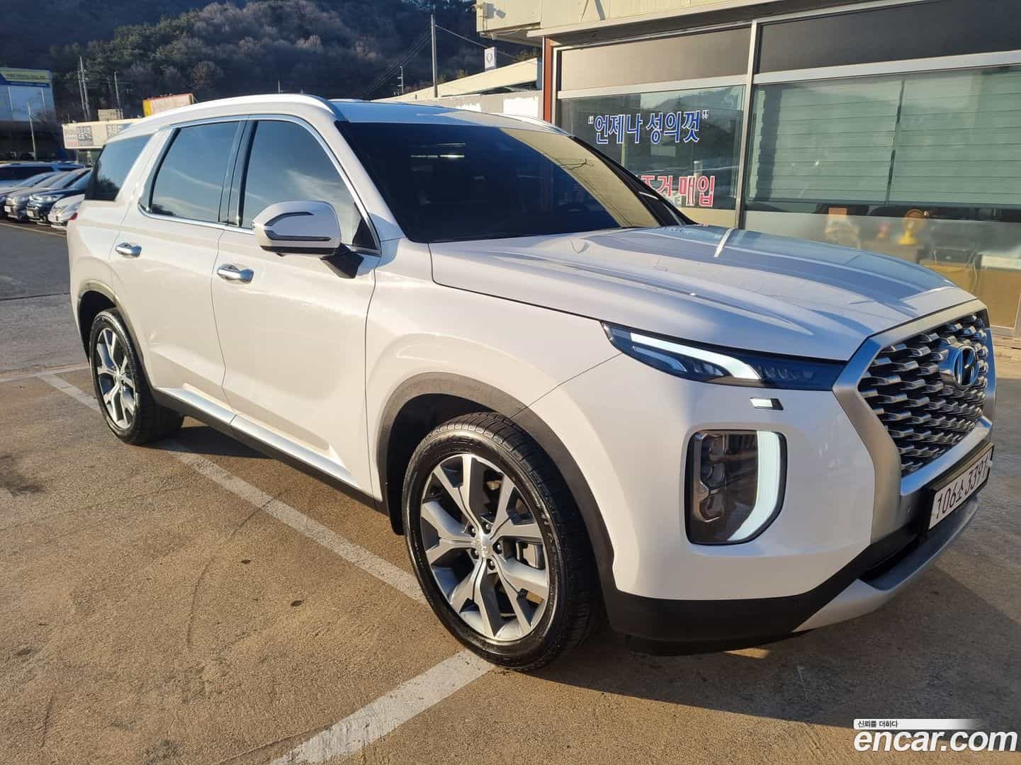 Palisade Hyundai 2020.11-OUTER-001